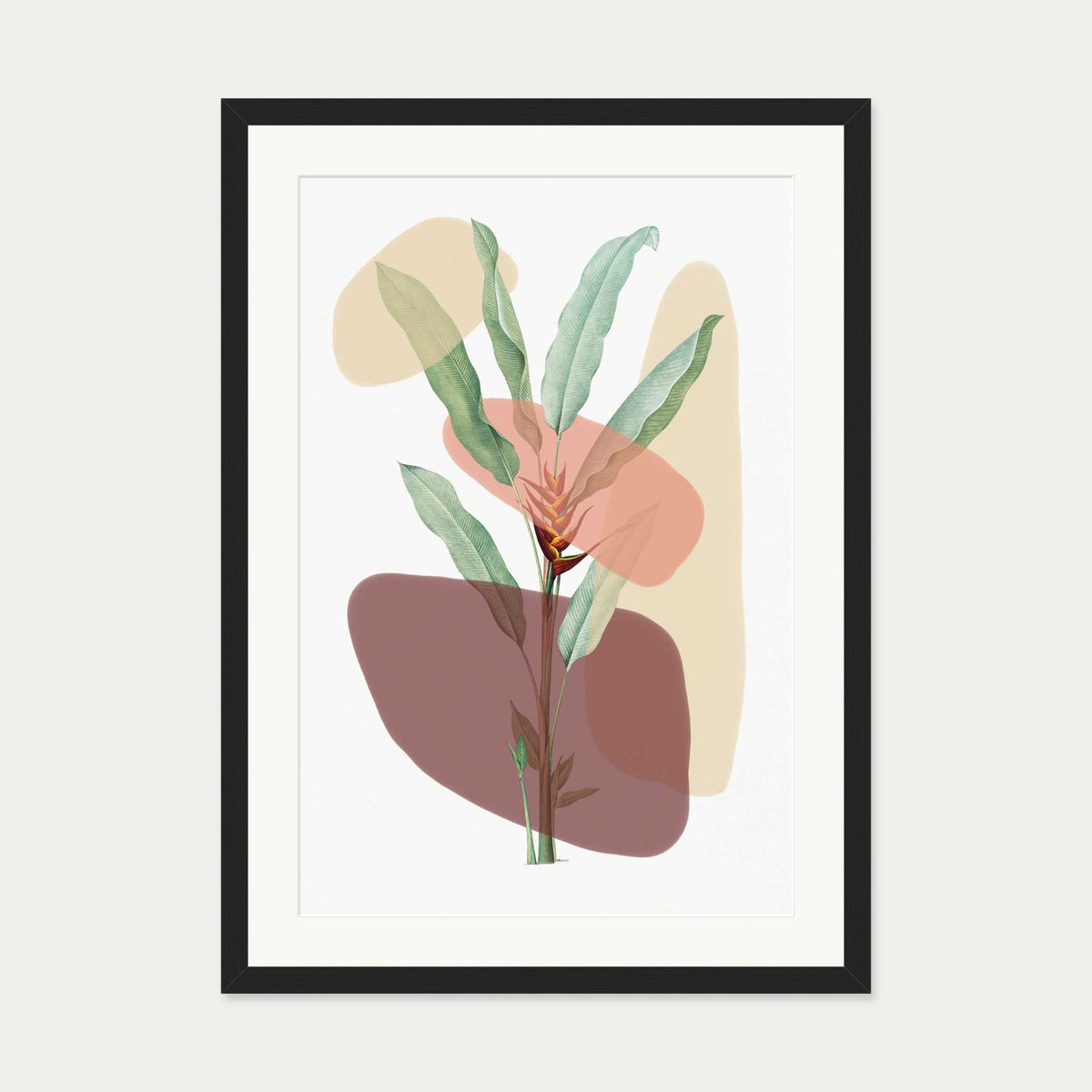 Botanical Illustration With Shapes Art Print — 50 x 70 cm — Black Frame