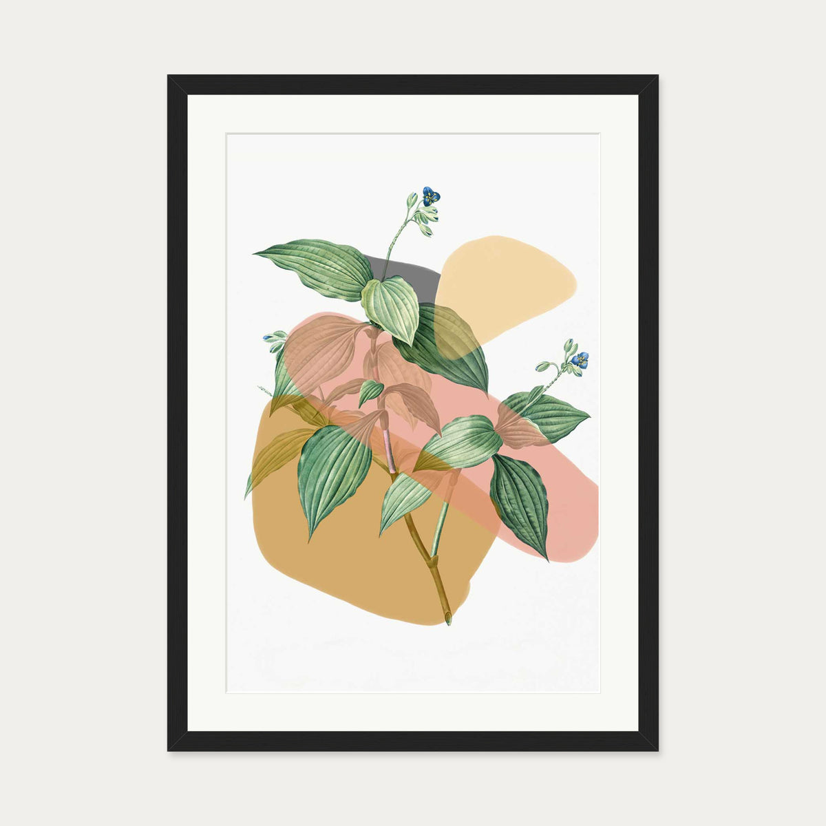 Botanical Vintage Terracotta Art Print — 50 x 70 cm — Black Frame