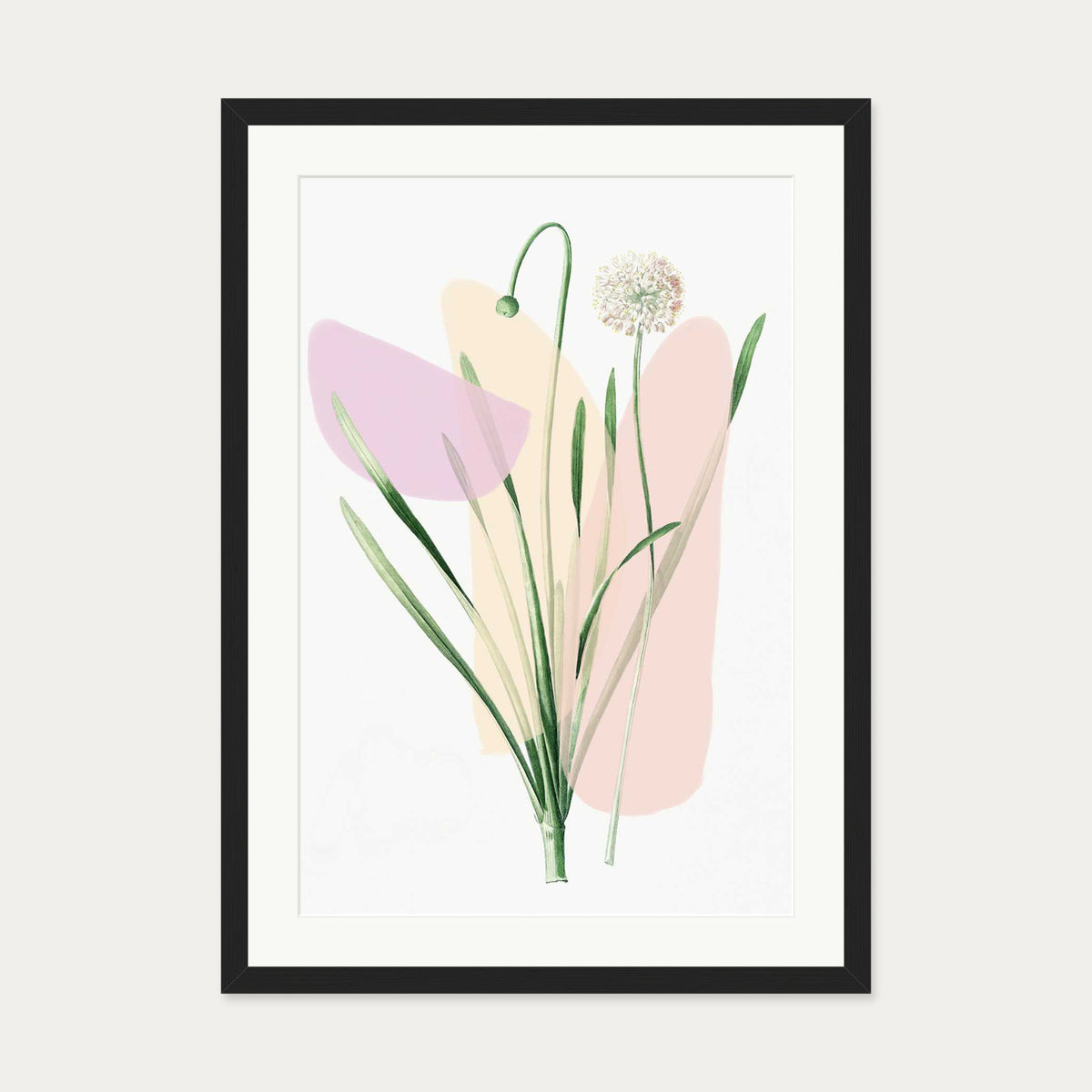Botanical Vintage Blush Hues Art Print — 50 x 70 cm — Black Frame