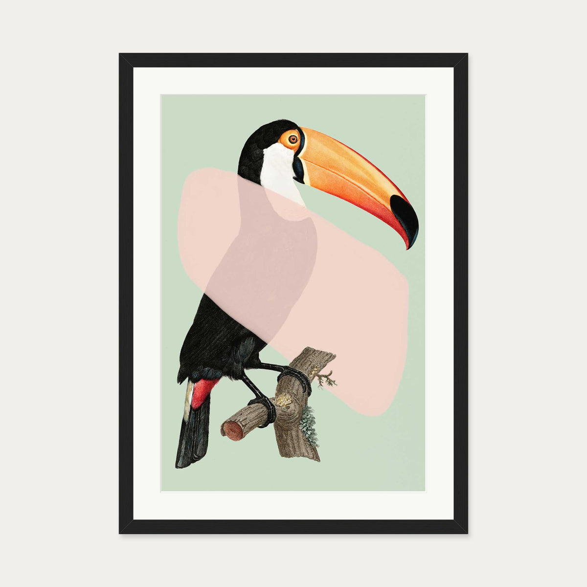 Mint Toucan In Blush Pop Art Print — 50 x 70 cm — Black Frame
