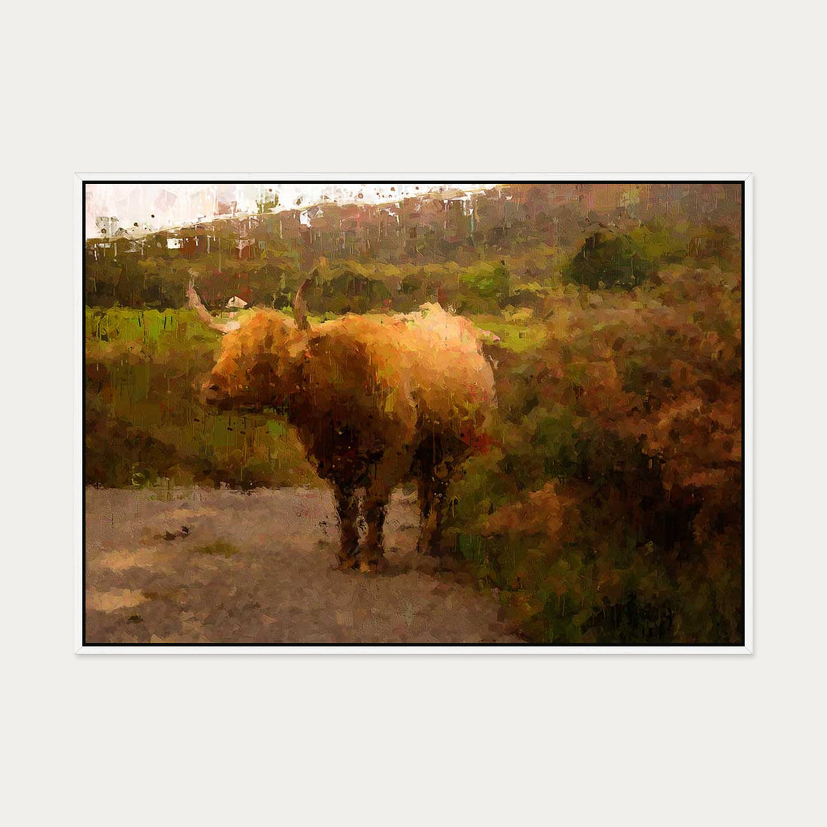 Highland Cow Oil Painting Print On Canvas — 70 x 100 cm — White Frame