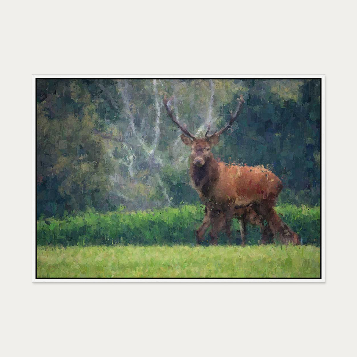 Deer In The Park Canvas Art — 70 x 100 cm — White Frame