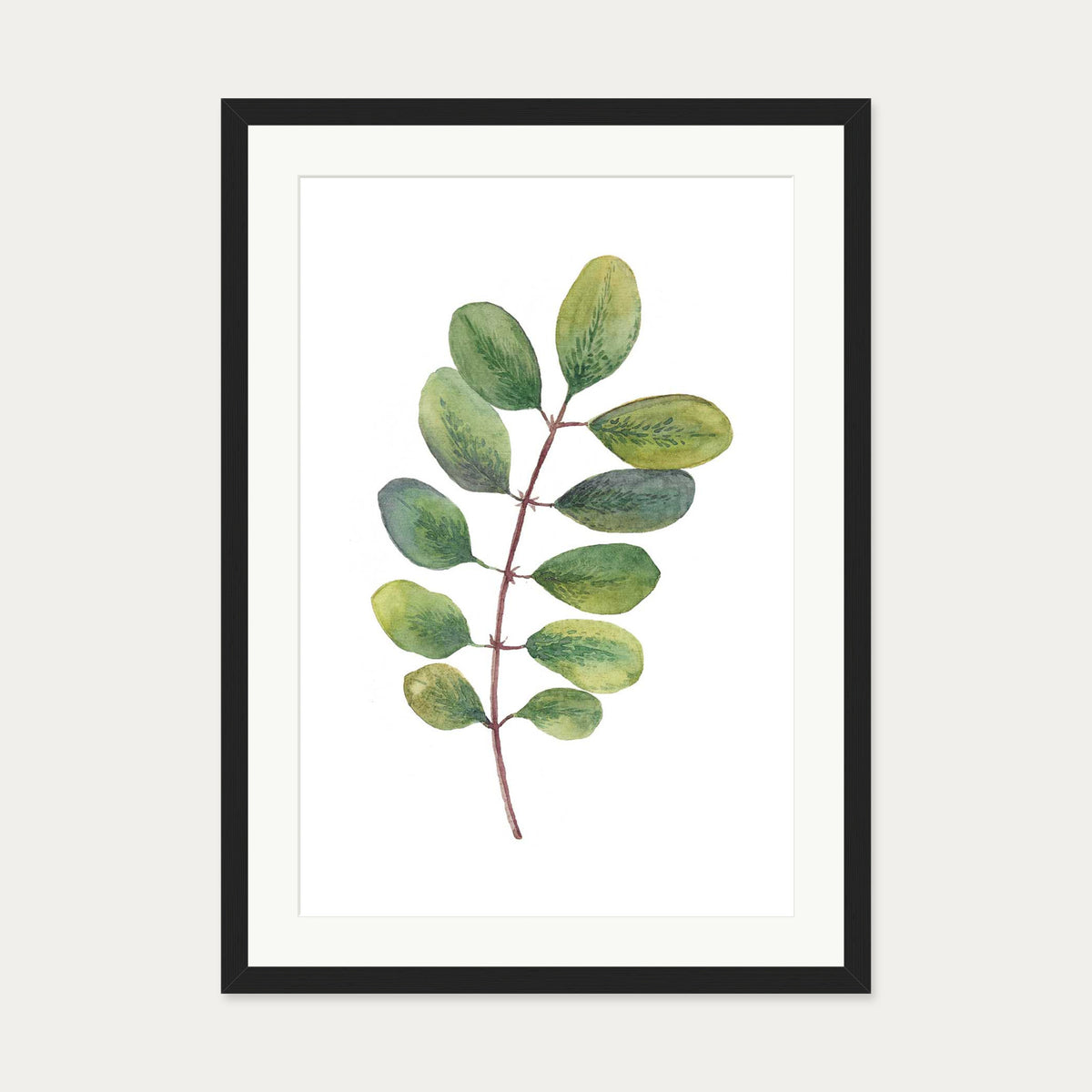 Acacia Watercolour Leaf Art Print — 50 x 70 cm — Black Frame
