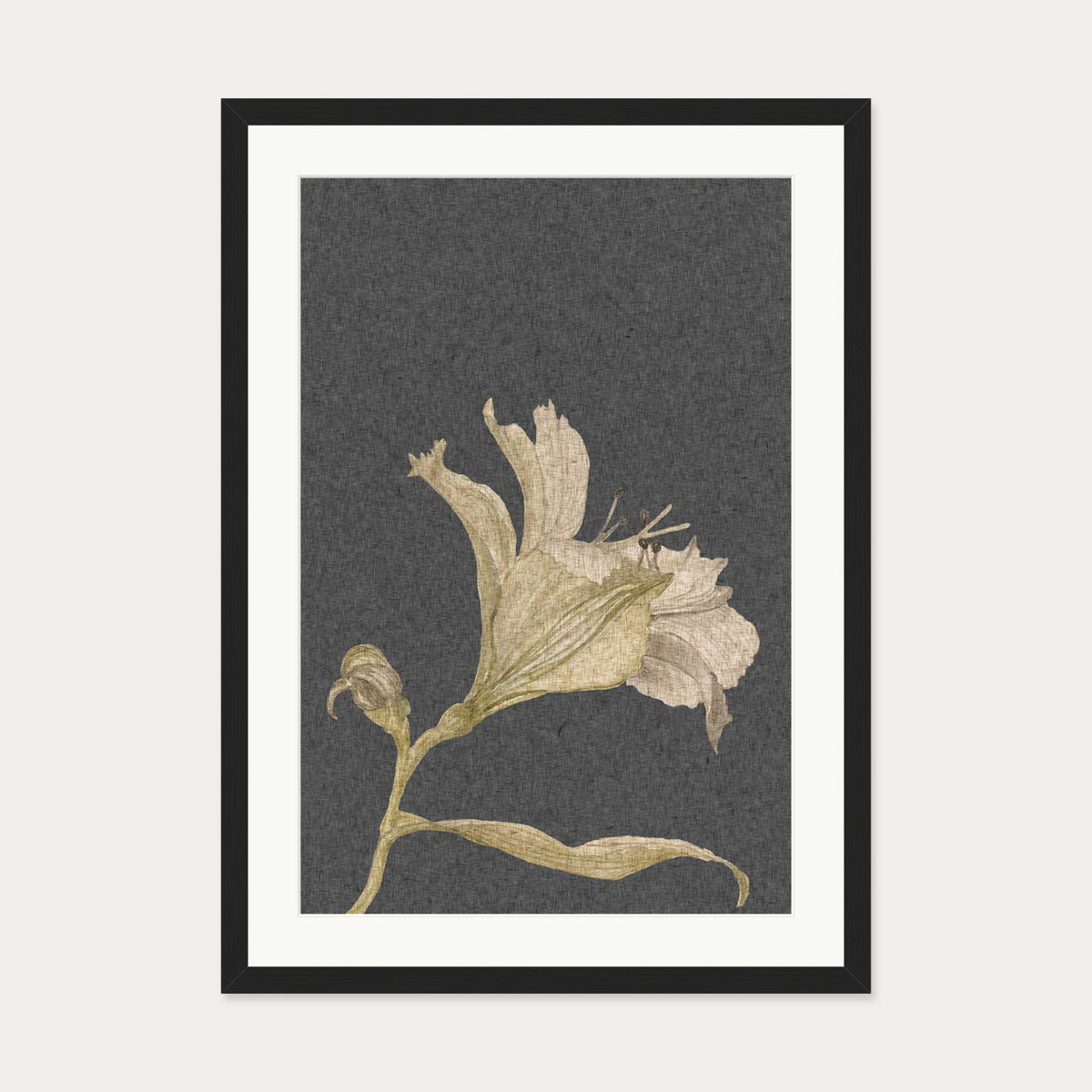 Grey Vintage Floral Stem Art Print — 50 x 70 cm — Black Frame