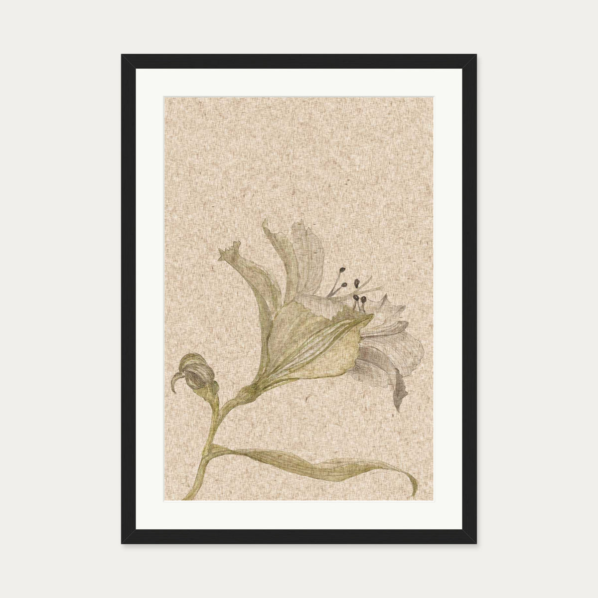 Vintage Floral Stem Art Print — 50 x 70 cm — Black Frame