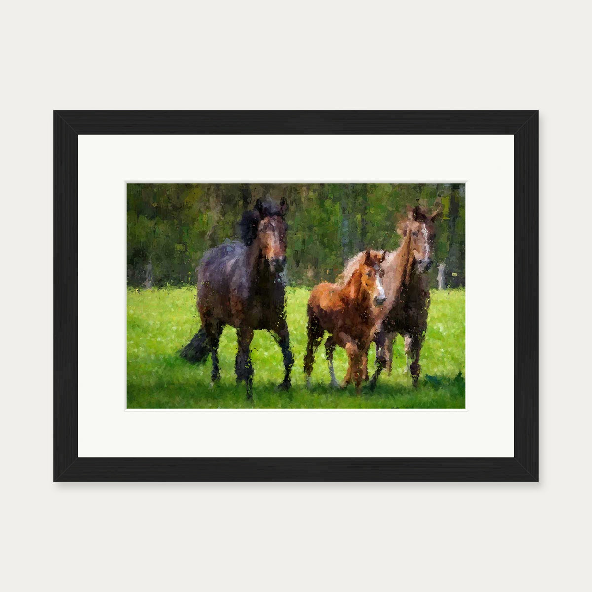 Horses Running In The Field Art Print — 30 x 40 cm — Black Frame