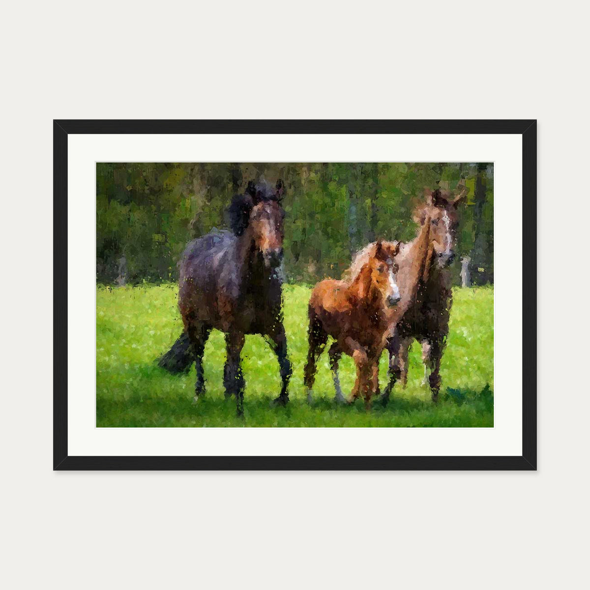 Horses Running In The Field Art Print — 50 x 70 cm — Black Frame