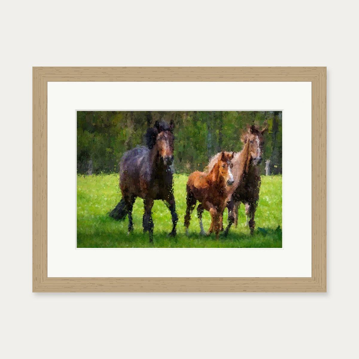 Horses Running In The Field Art Print — 30 x 40 cm — Oak Frame