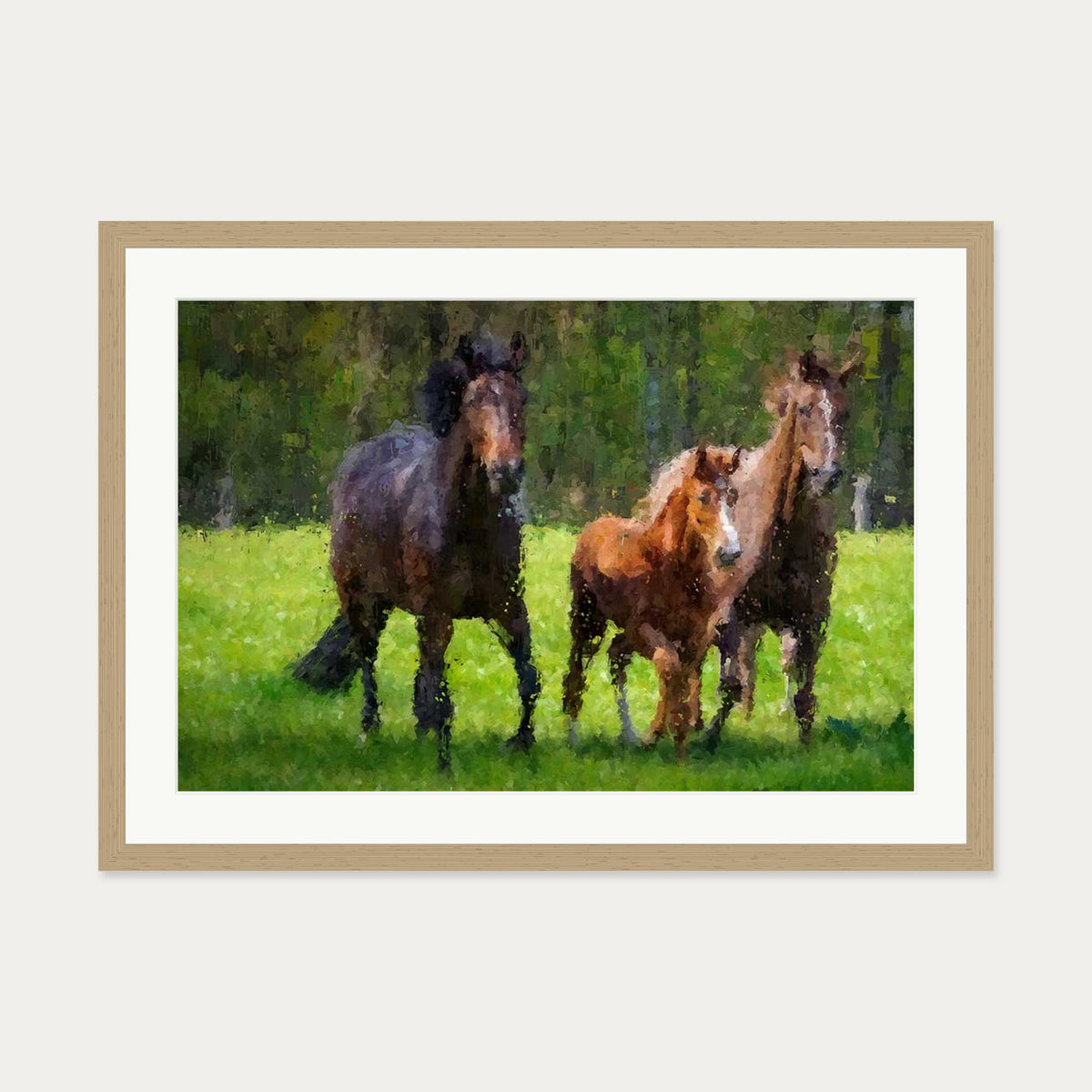 Horses Running In The Field Art Print — 50 x 70 cm — Oak Frame