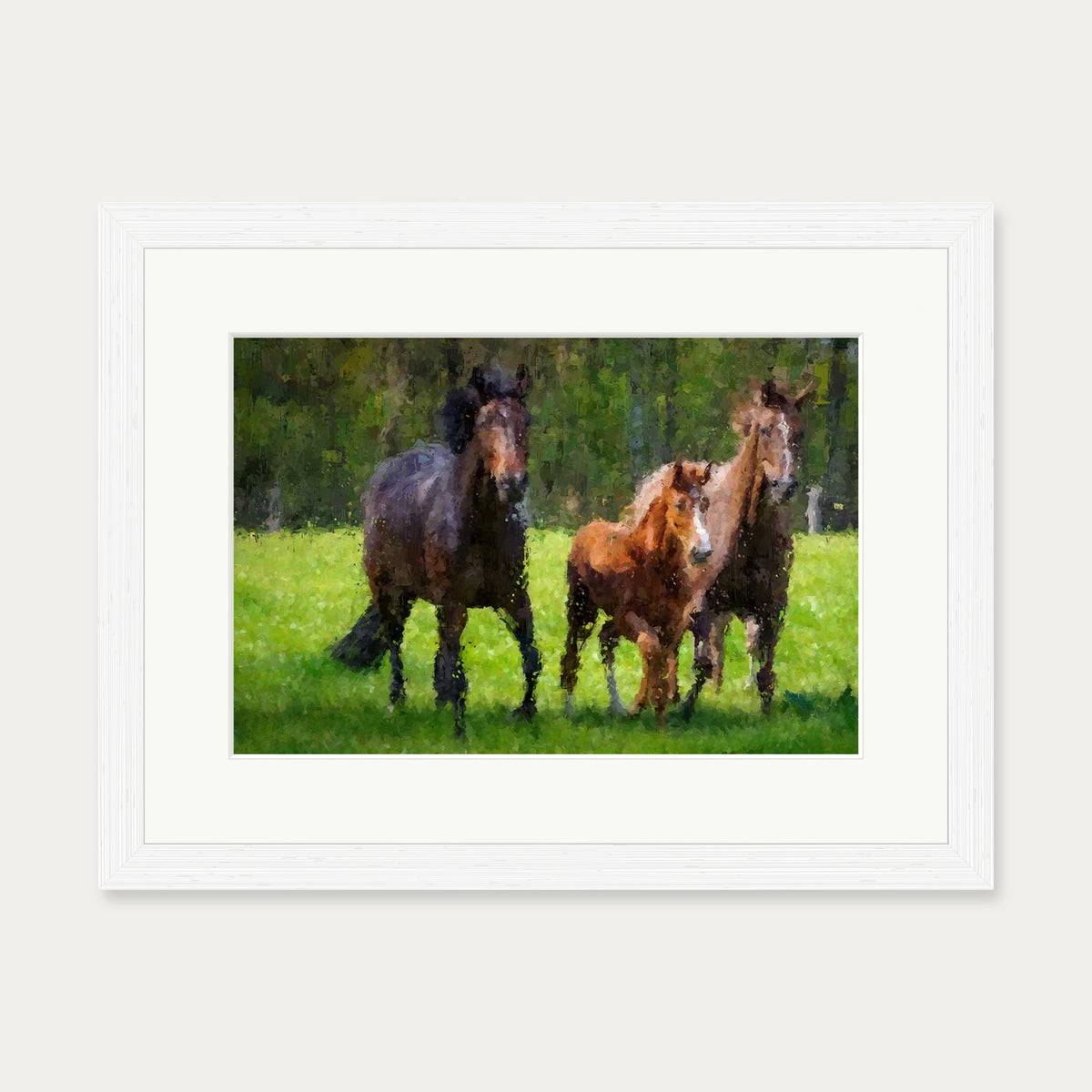 Horses Running In The Field Art Print — 30 x 40 cm — White Frame