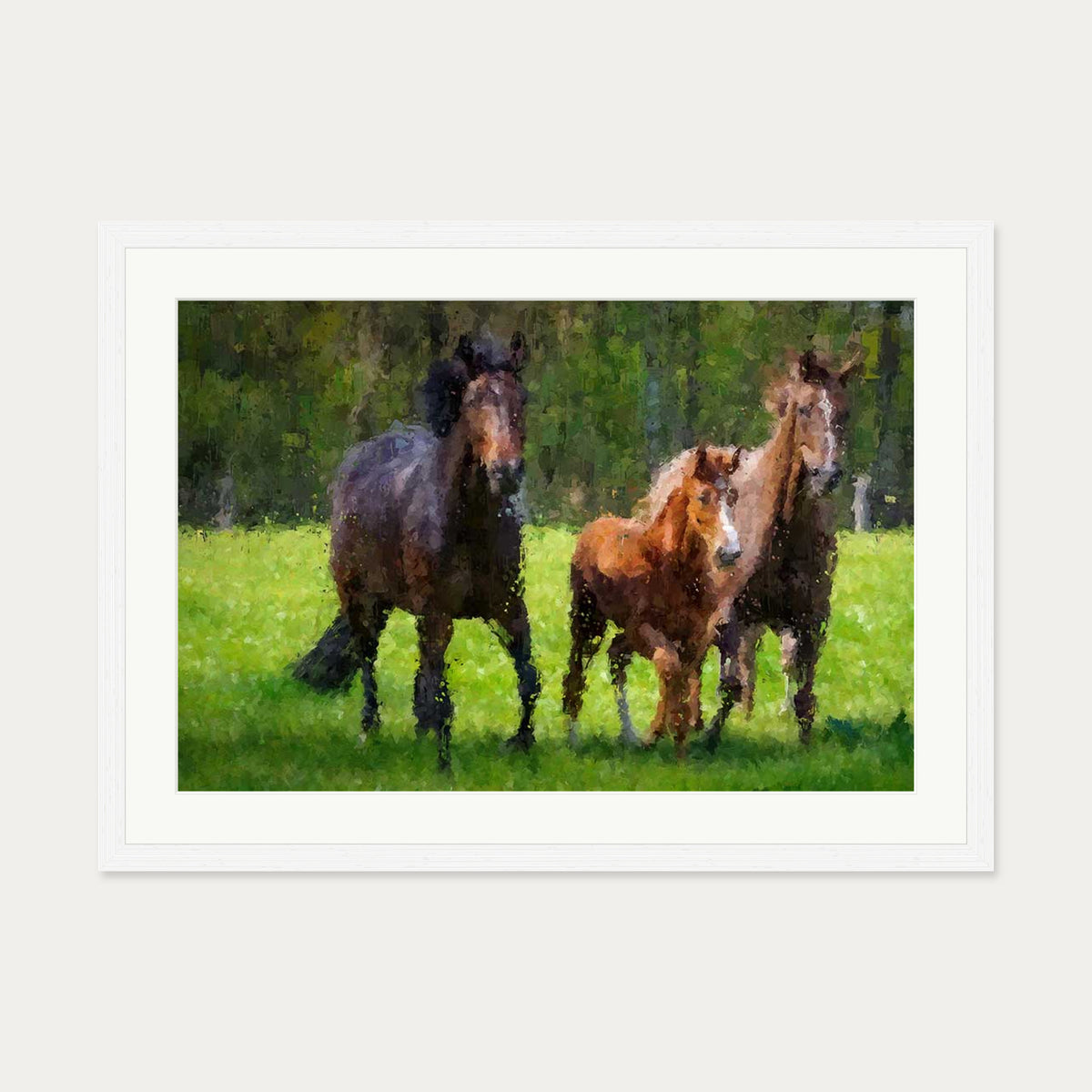 Horses Running In The Field Art Print — 50 x 70 cm — White Frame