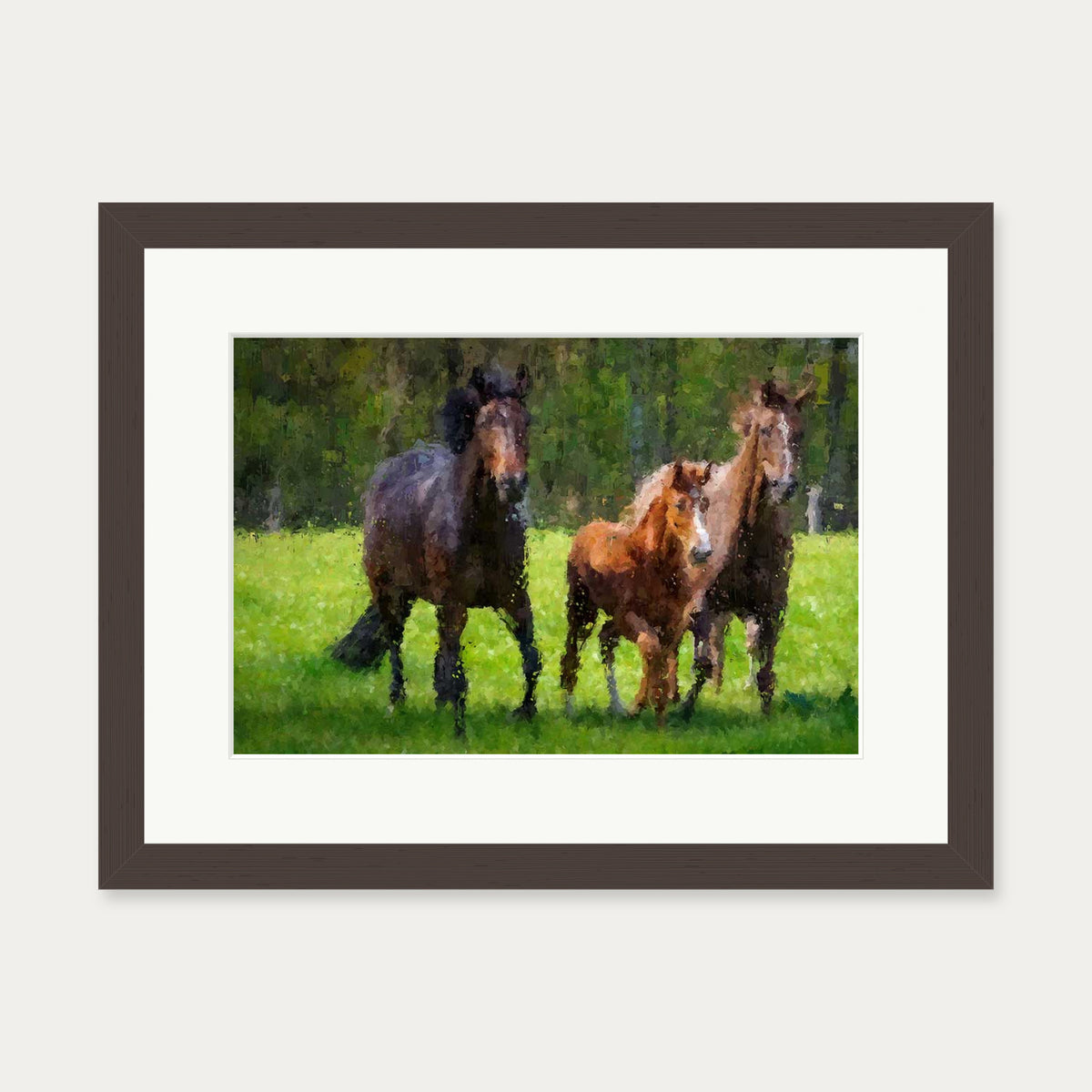 Horses Running In The Field Art Print — 30 x 40 cm — Brown Frame