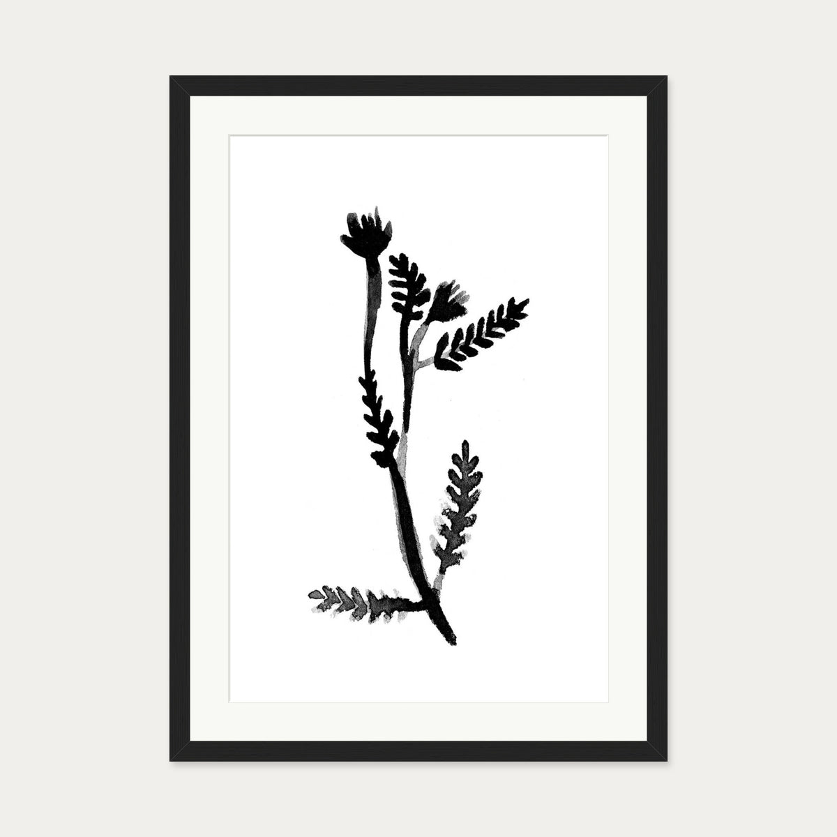 Black & White Botanical Watercolour Art Print — 50 x 70 cm — Black Frame