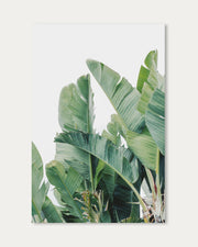 Green Botanical Leaves Wall Art Print