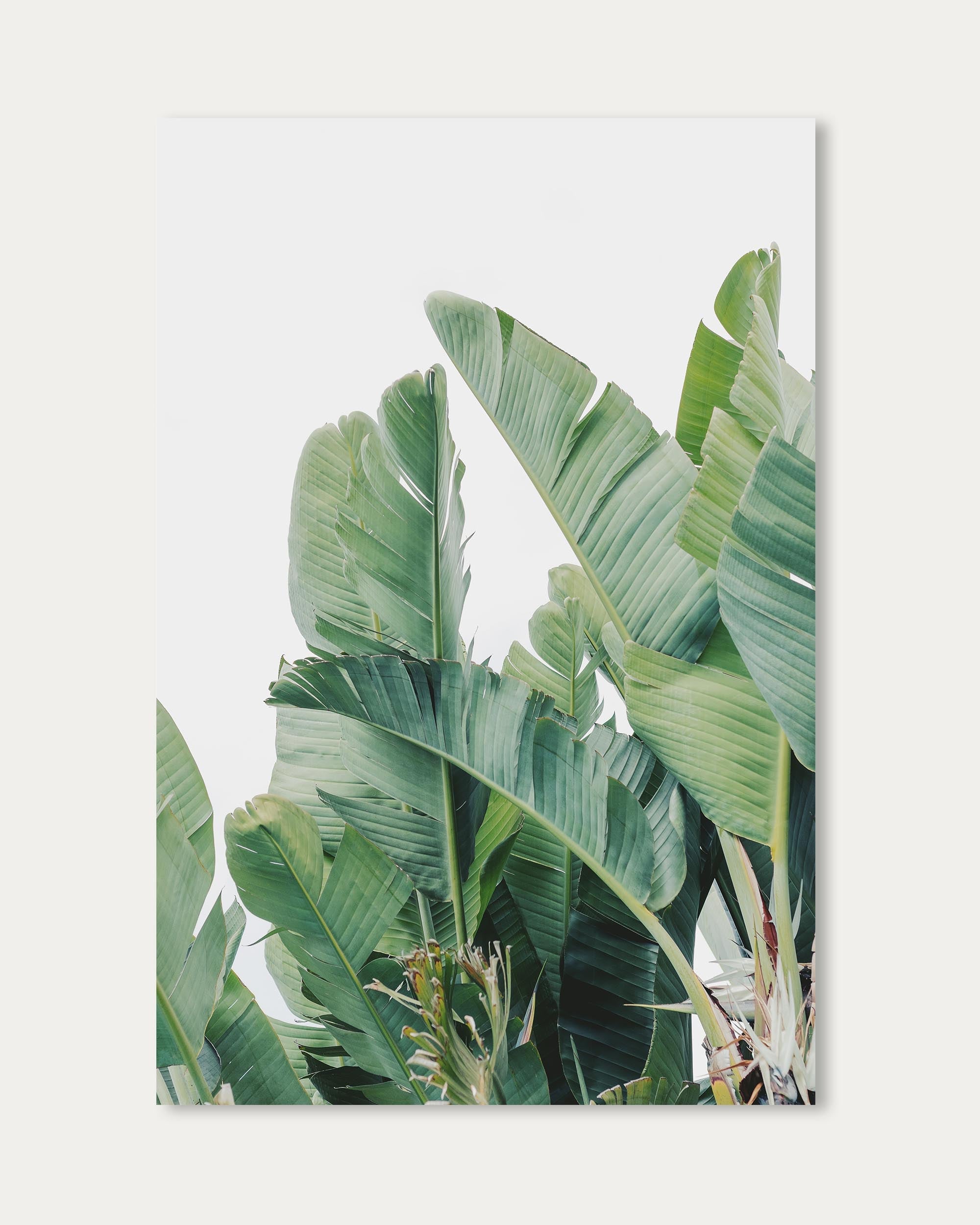 Green Botanical Leaves Wall Art Print