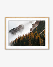 Autumn Forest Landscape Art Print