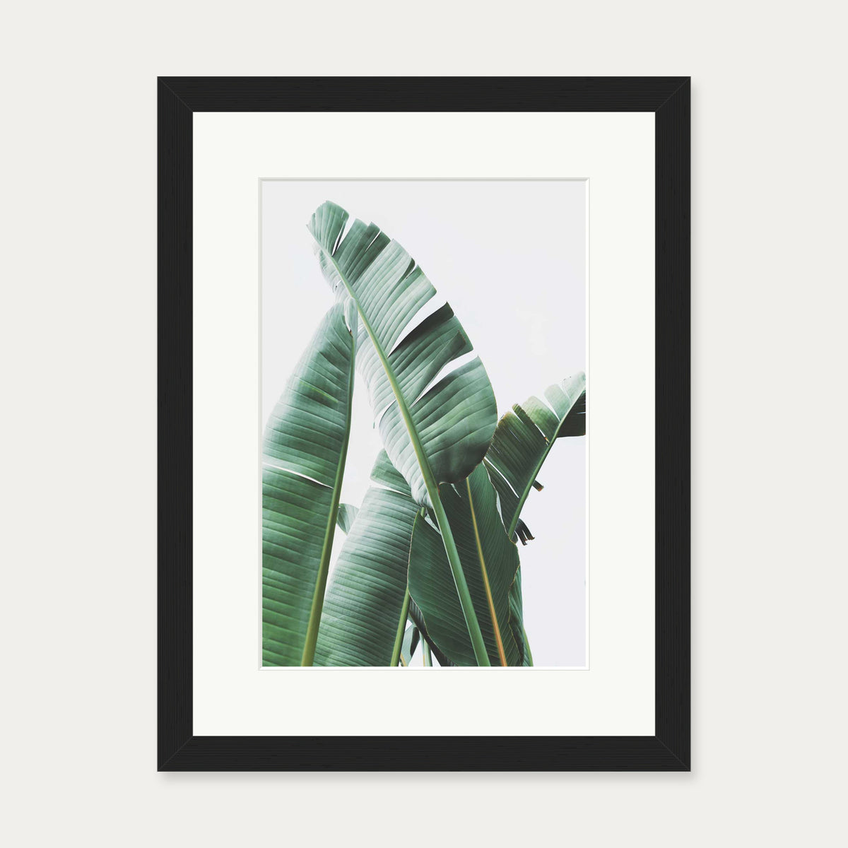 Banana Leaf Wall Art Print — 30 x 40 cm — Black Frame