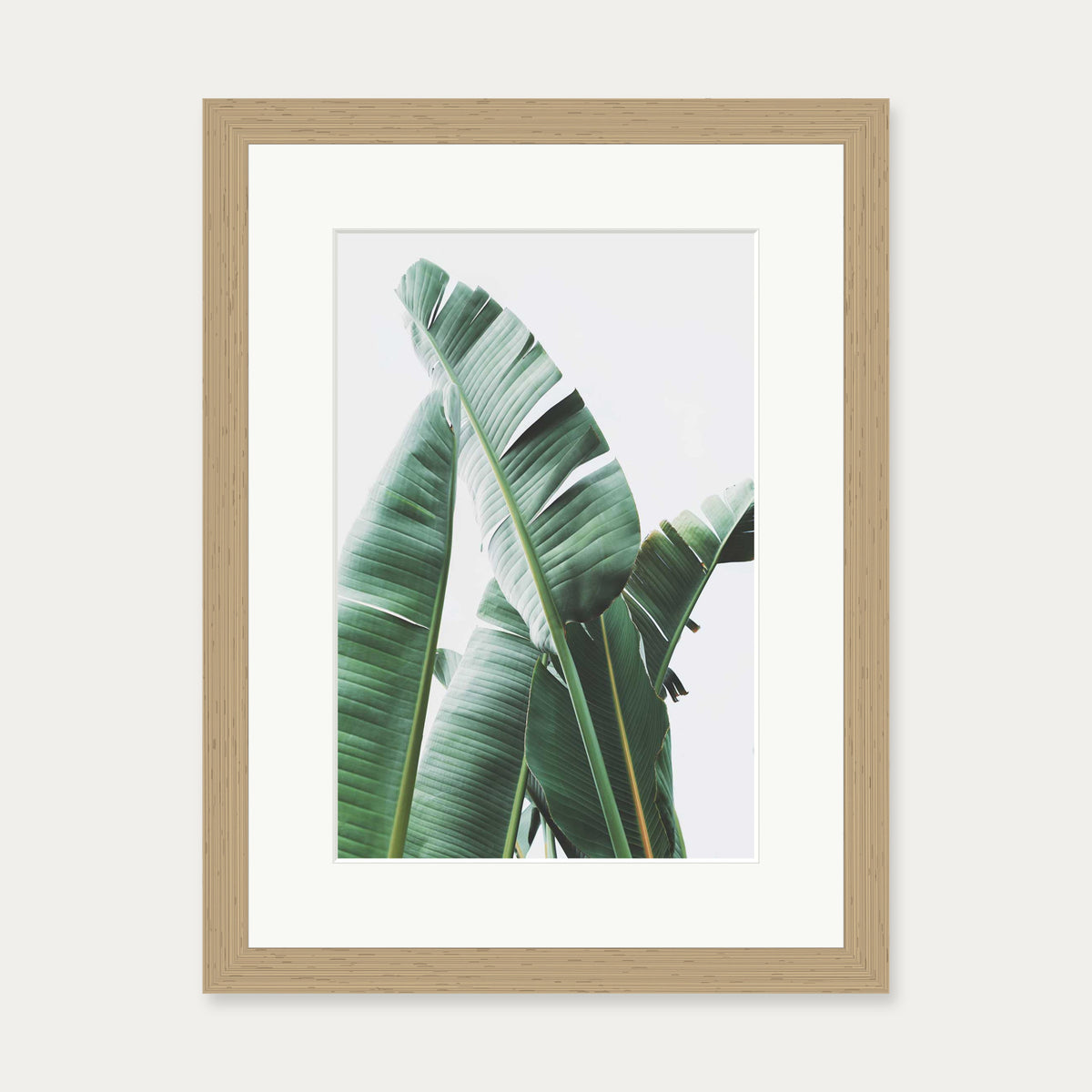 Banana Leaf Wall Art Print — 30 x 40 cm — Oak Frame