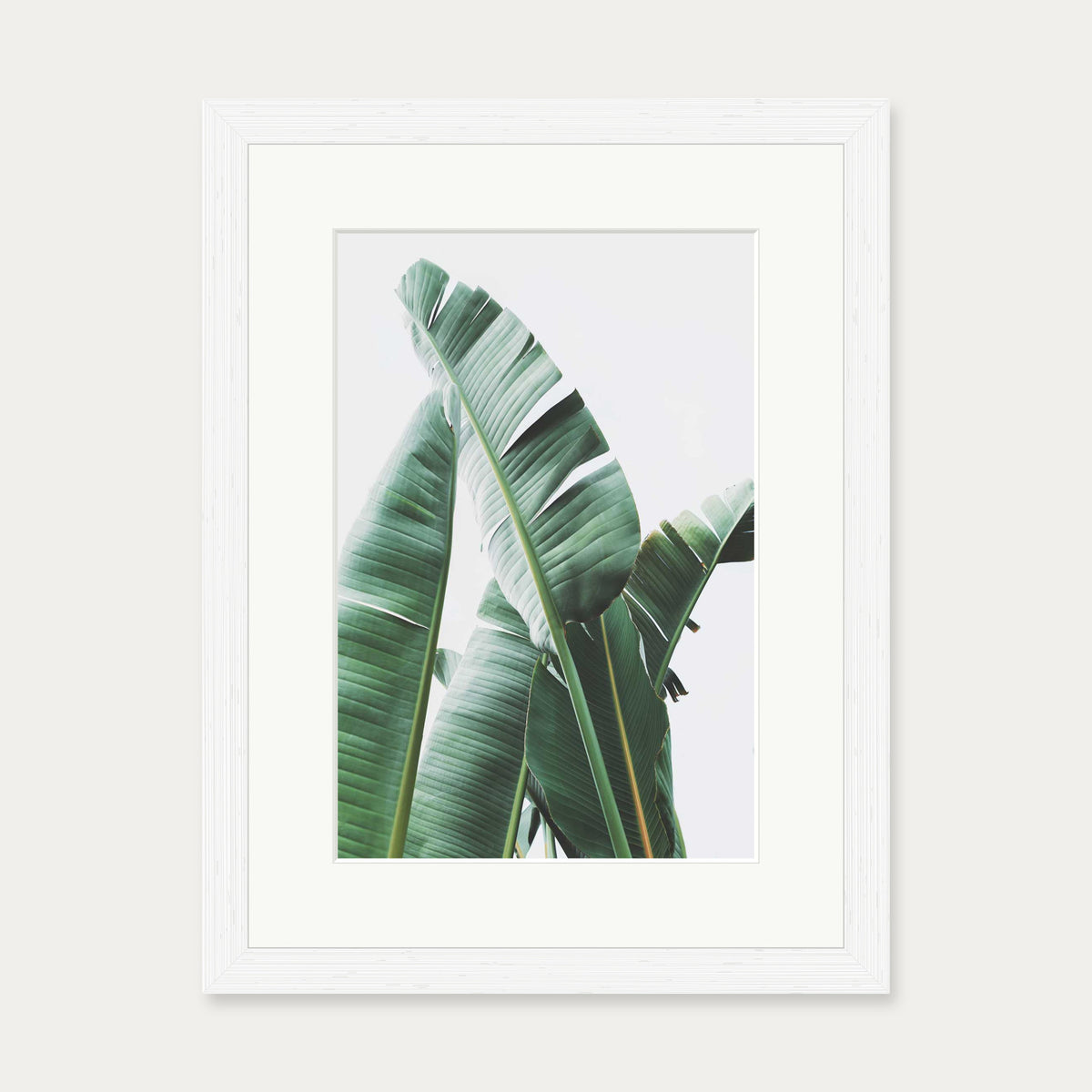 Banana Leaf Wall Art Print — 30 x 40 cm — White Frame