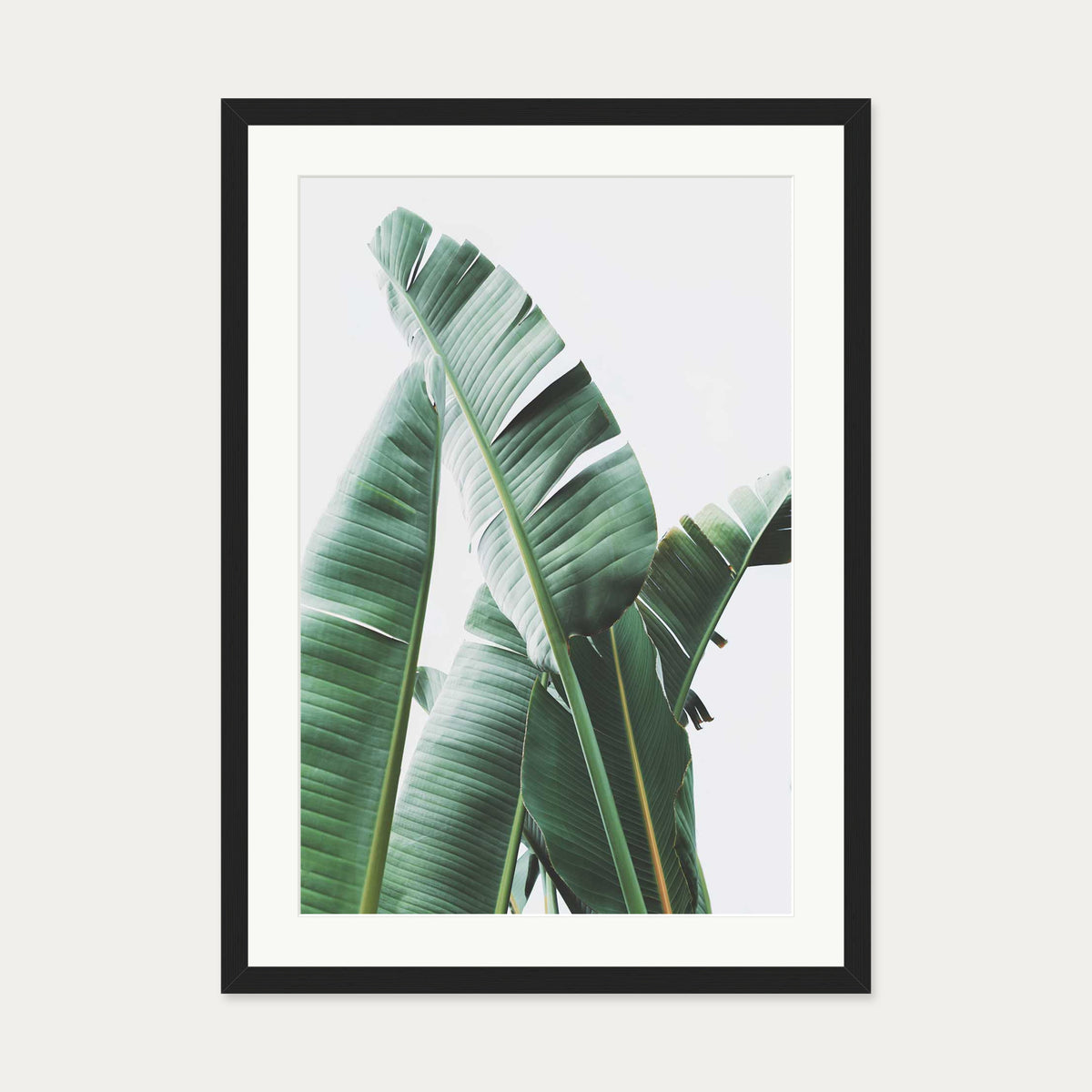 Banana Leaf Wall Art Print — 50 x 70 cm — Black Frame