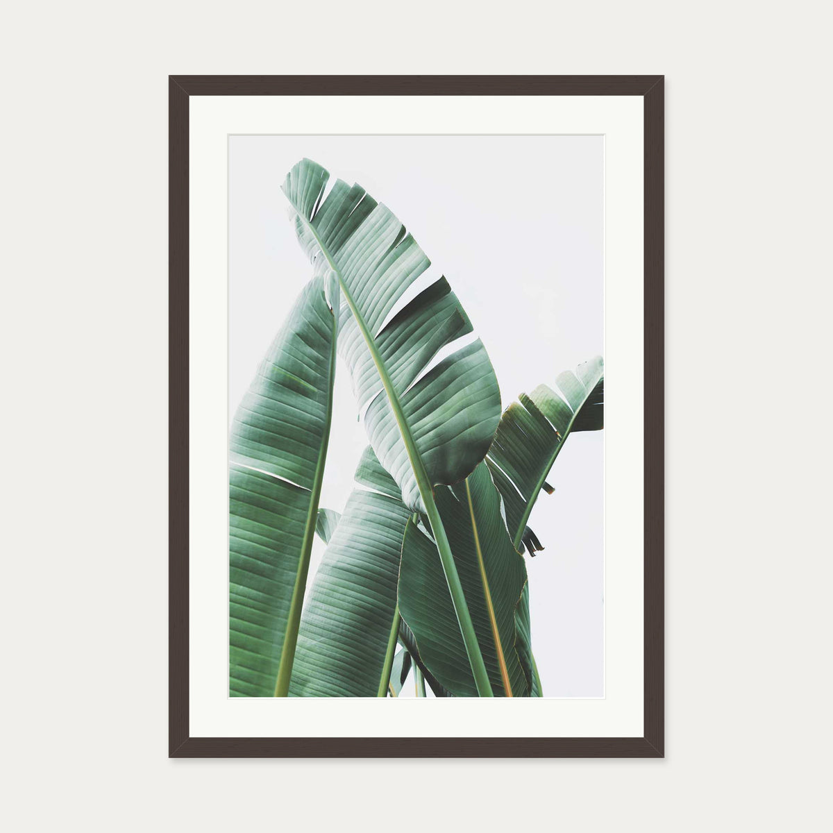 Banana Leaf Wall Art Print — 50 x 70 cm — Brown Frame