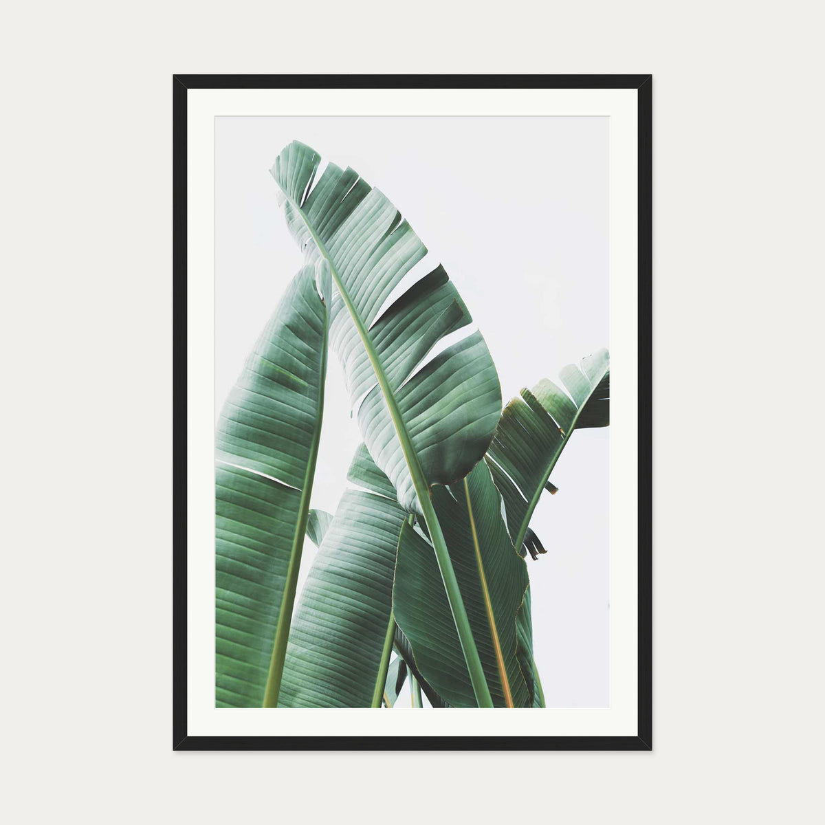 Banana Leaf Wall Art Print — 70 x 100 cm — Black Frame