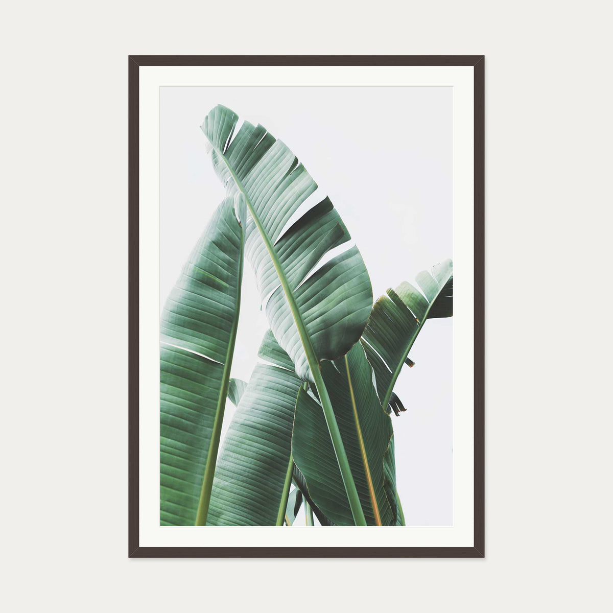 Banana Leaf Wall Art Print — 70 x 100 cm — Brown Frame
