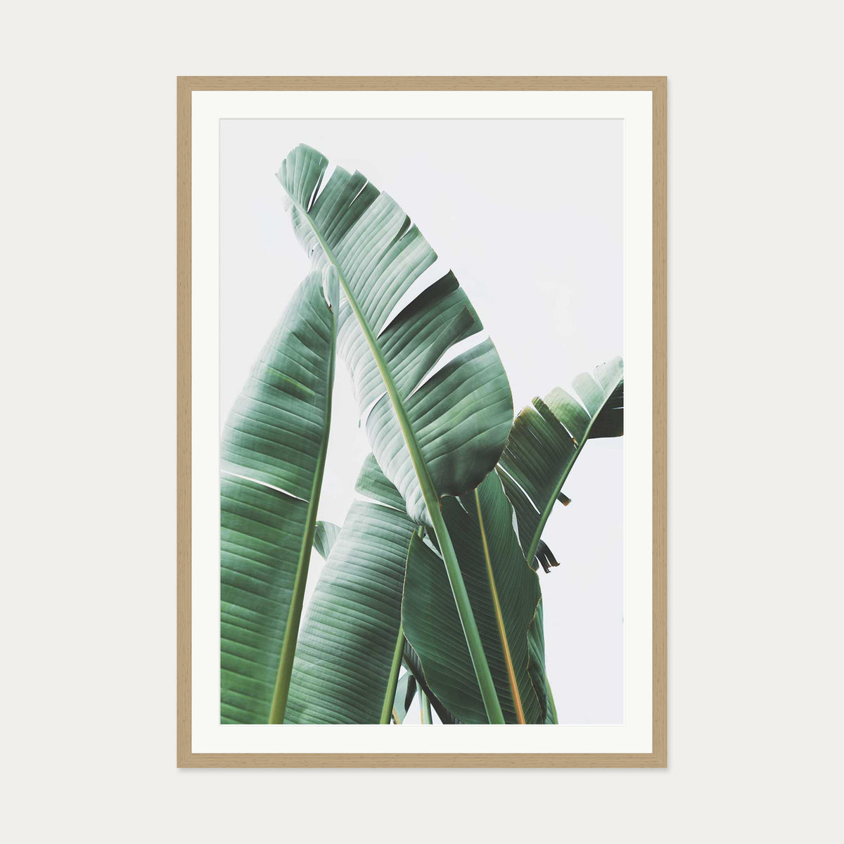 Banana Leaf Wall Art Print — 70 x 100 cm — Oak Frame