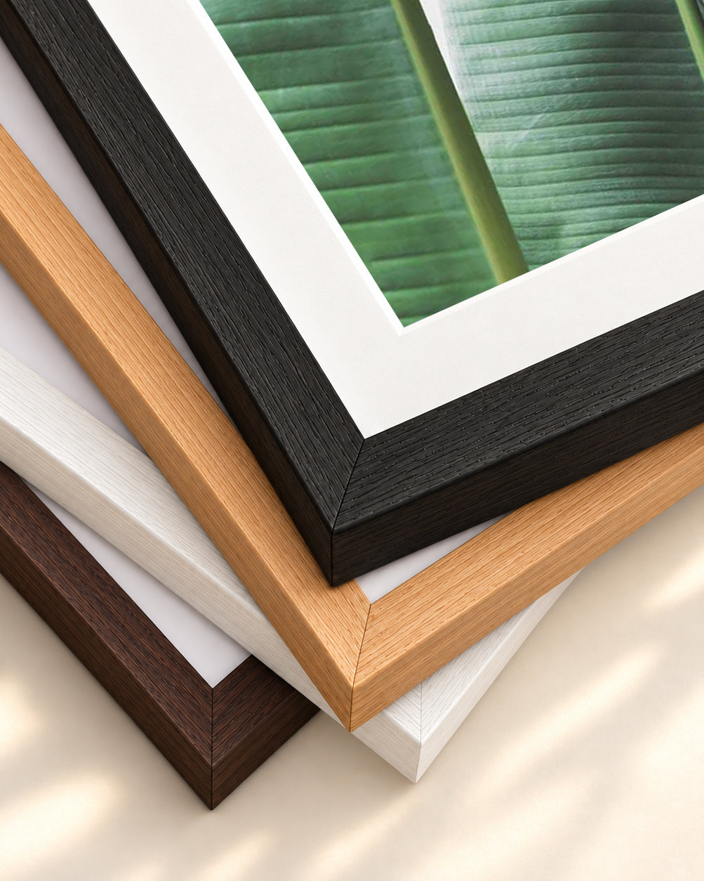 Banana Leaf Wall Art Print — framed print corner with 5 cm mount and bevel