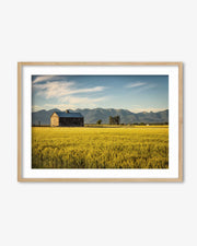 The Barn Wall Art Print
