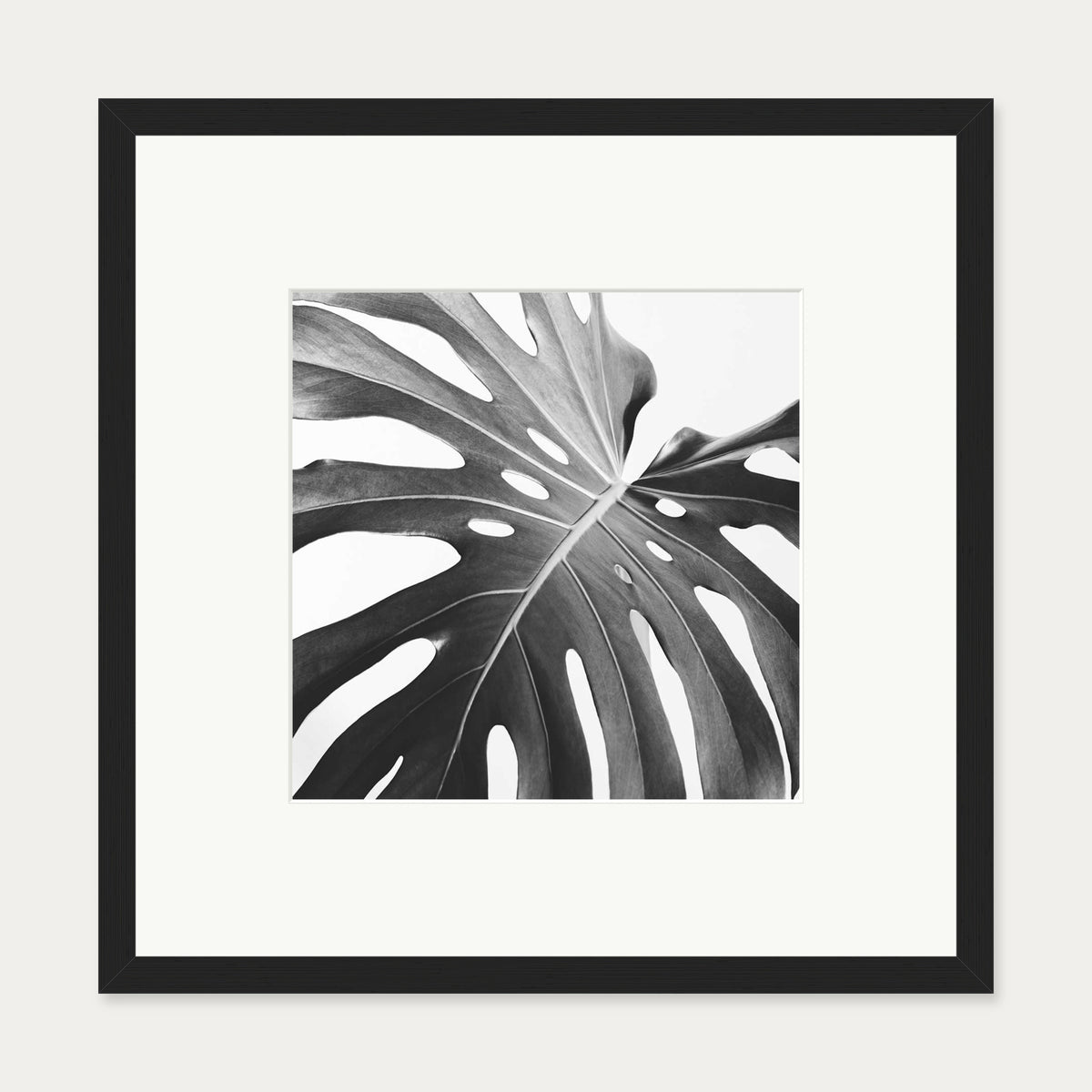 Black And White Monstera Wall Art Print — 50 x 50 cm — Black Frame