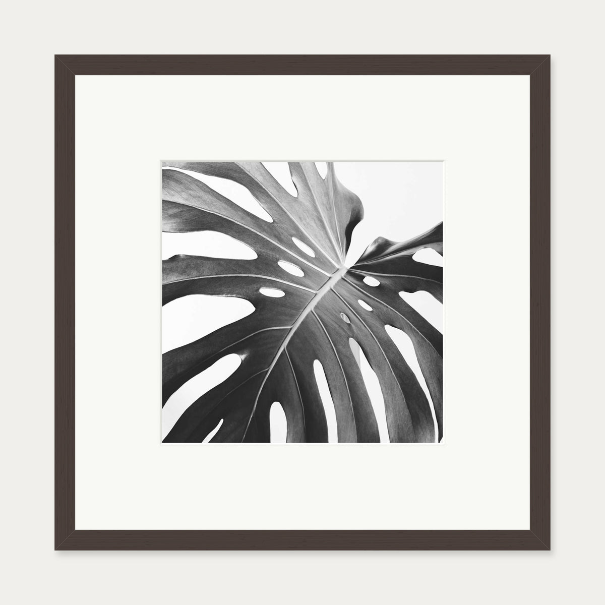 Black And White Monstera Wall Art Print — 50 x 50 cm — Brown Frame