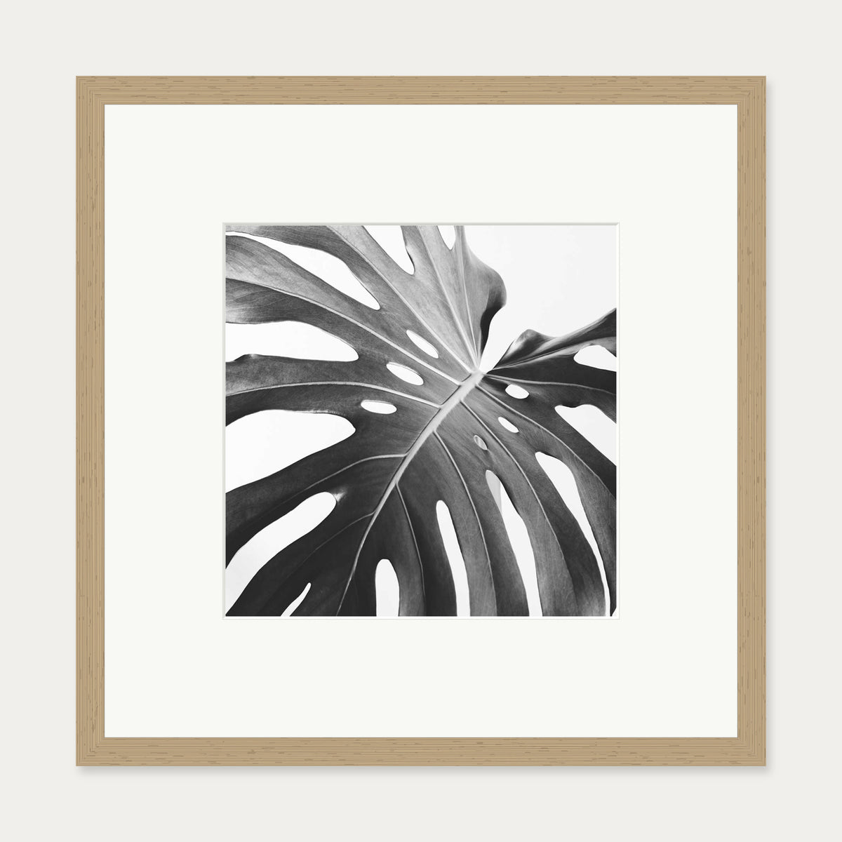 Black And White Monstera Wall Art Print — 50 x 50 cm — Oak Frame