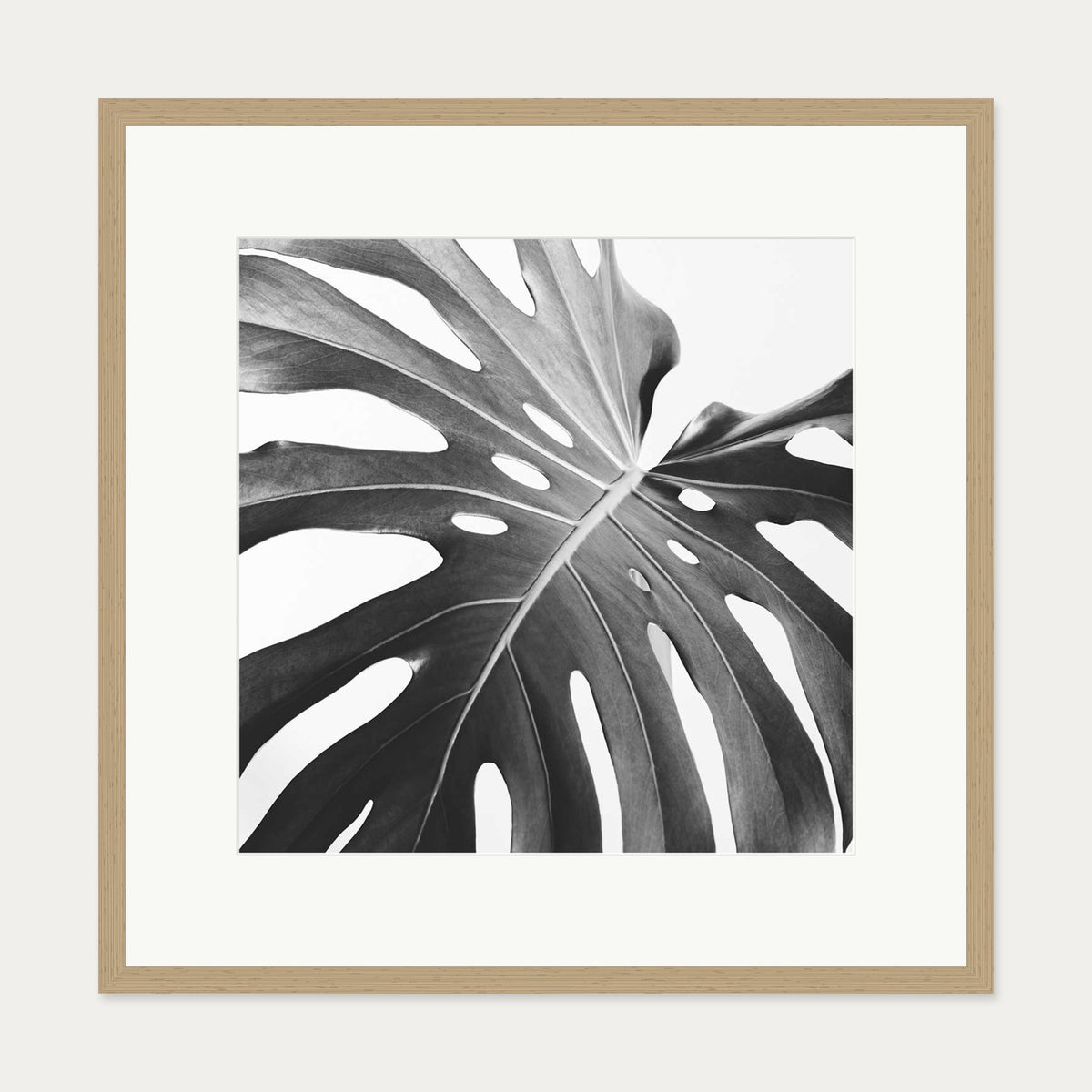Black And White Monstera Wall Art Print — 70 x 70 cm — Oak Frame