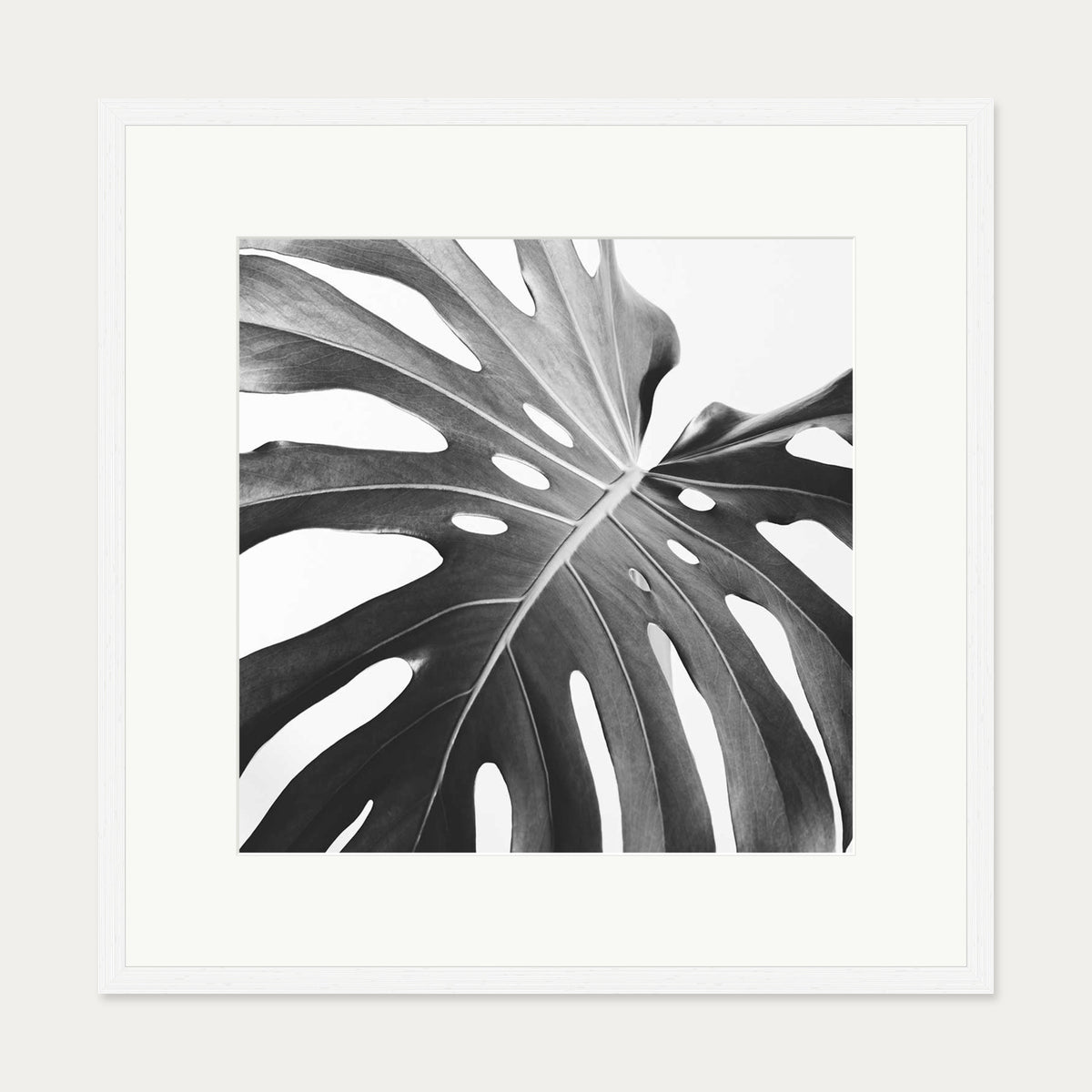 Black And White Monstera Wall Art Print — 70 x 70 cm — White Frame