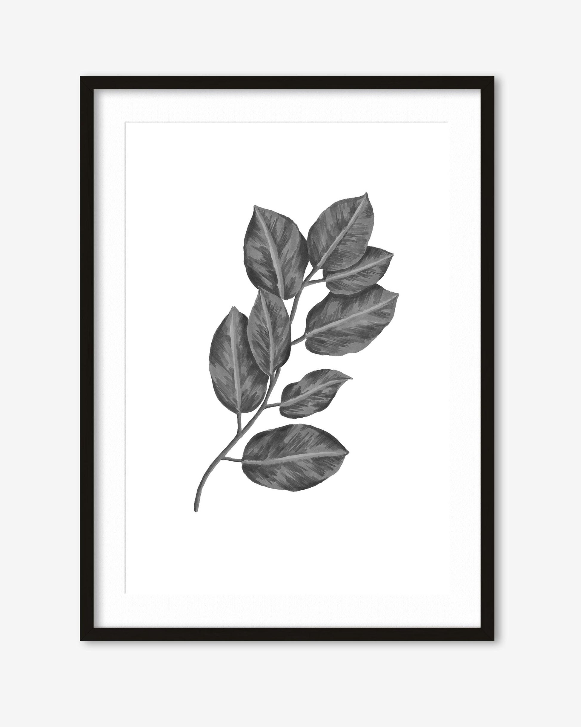 Framed black and white leaf print on a white background