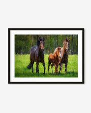 Framed artwork of three horses in a grassy field with a black frame.