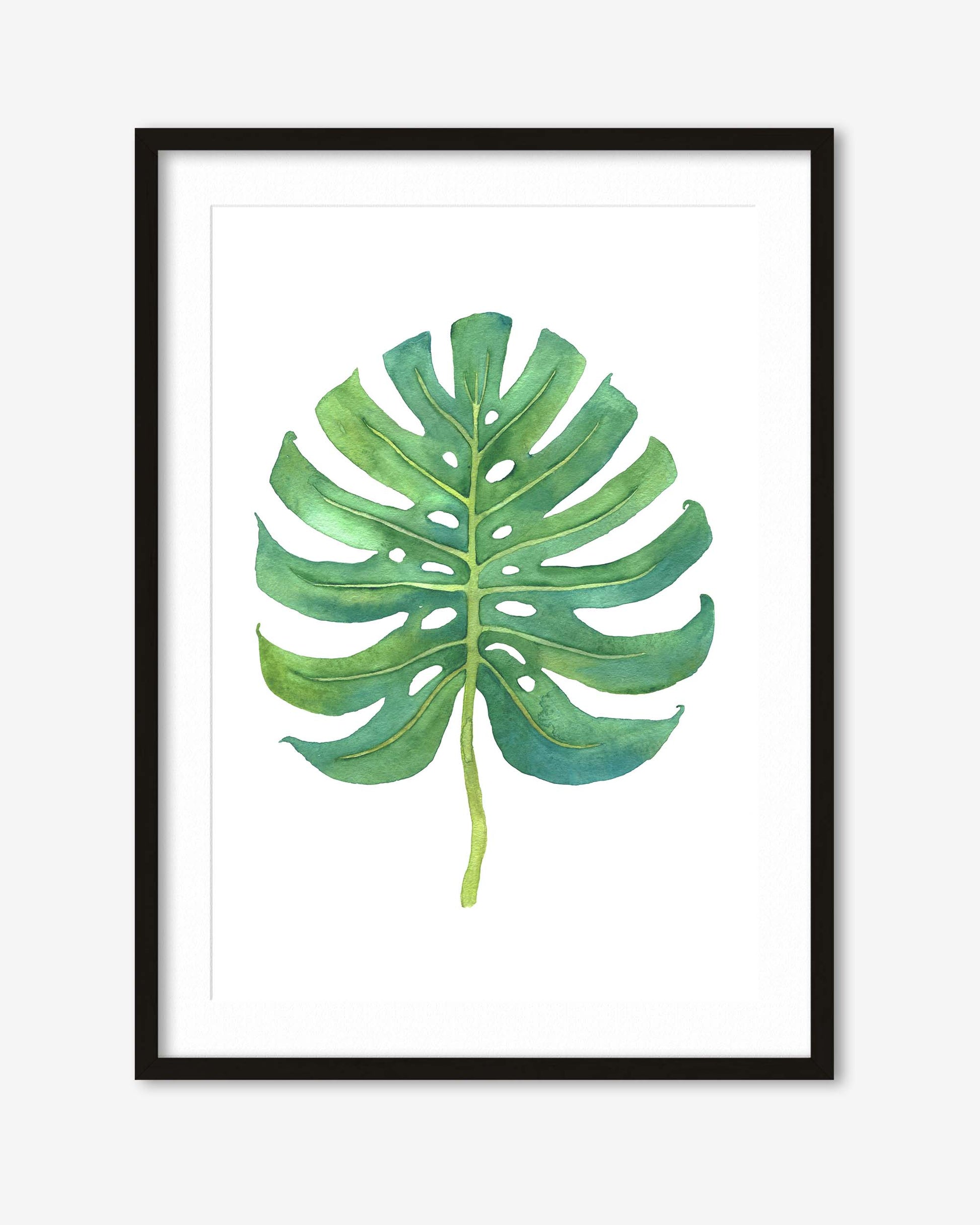 monstera leaf framed in a black frame