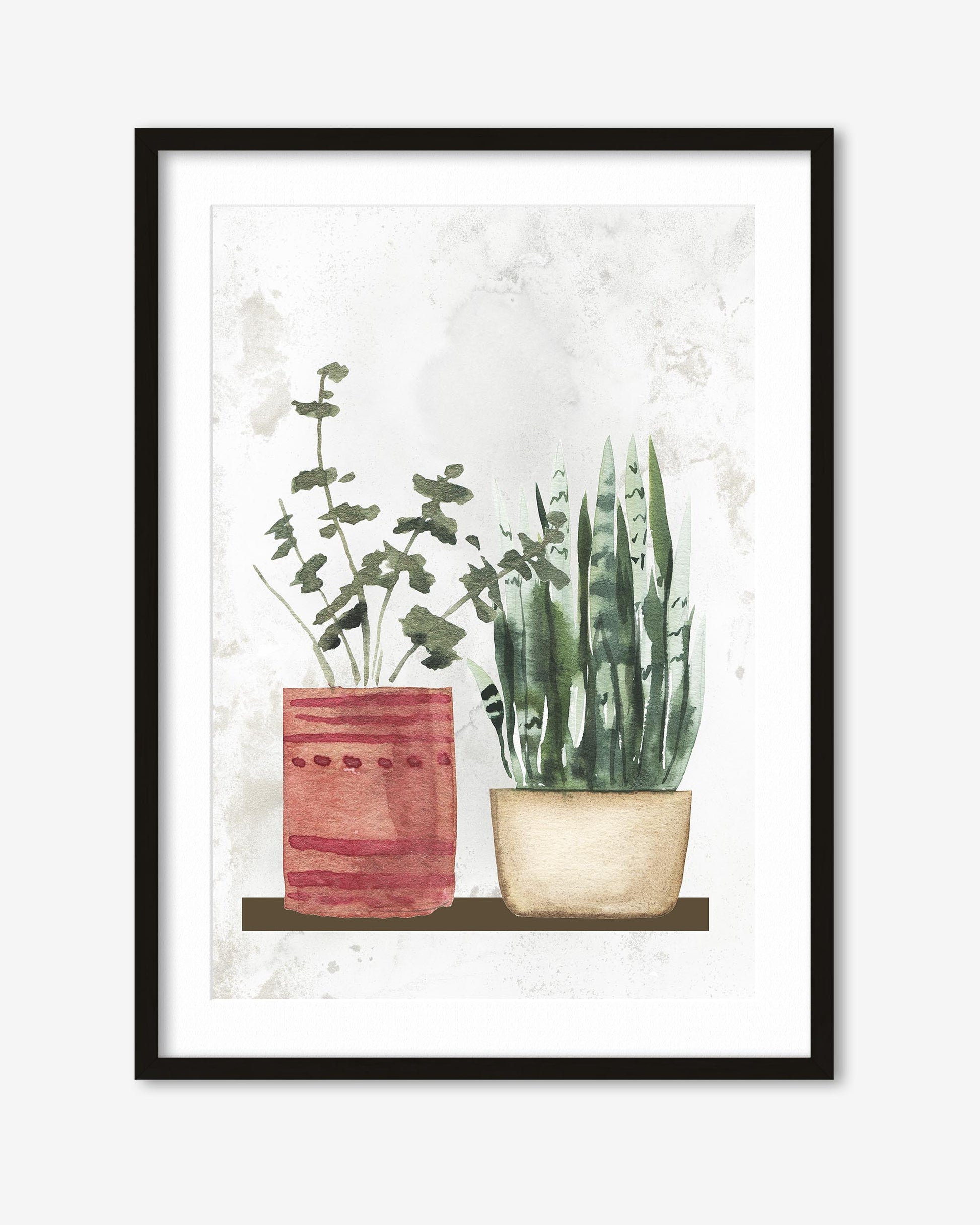 botanical plans in pots watercolour artwork in a black frame