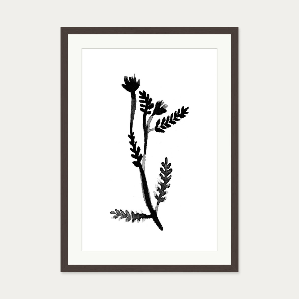Black & White Botanical Watercolour Art Print — 50 x 70 cm — Brown Frame