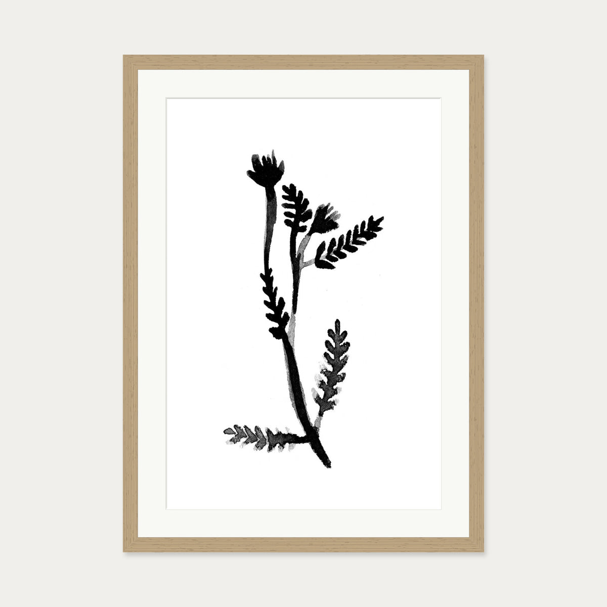 Black & White Botanical Watercolour Art Print — 50 x 70 cm — Oak Frame