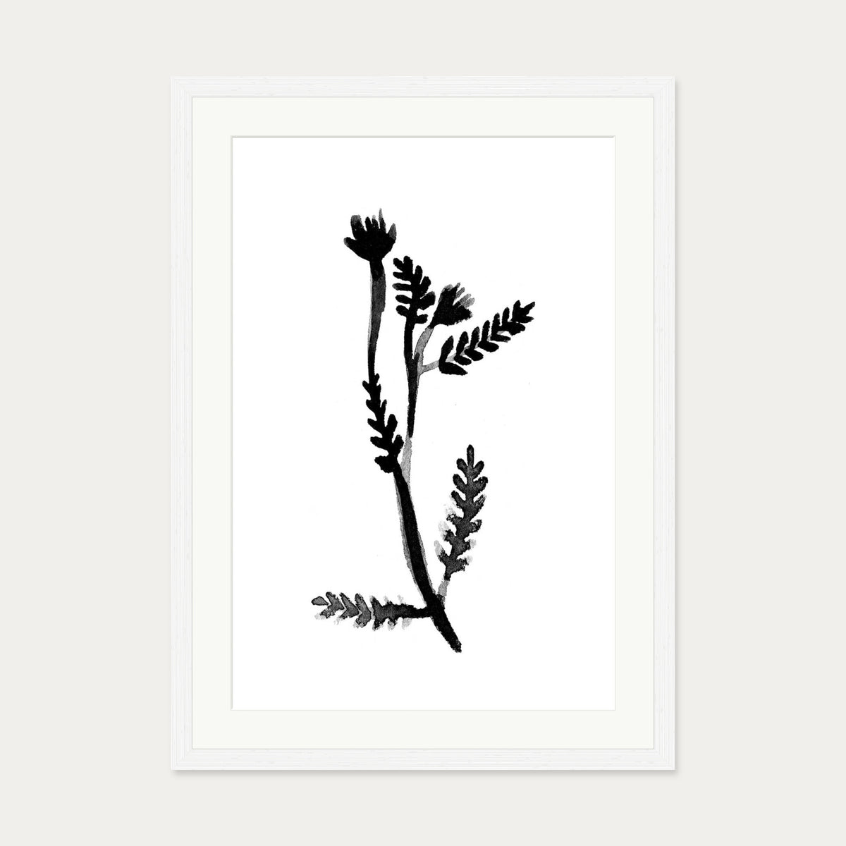 Black & White Botanical Watercolour Art Print — 50 x 70 cm — White Frame