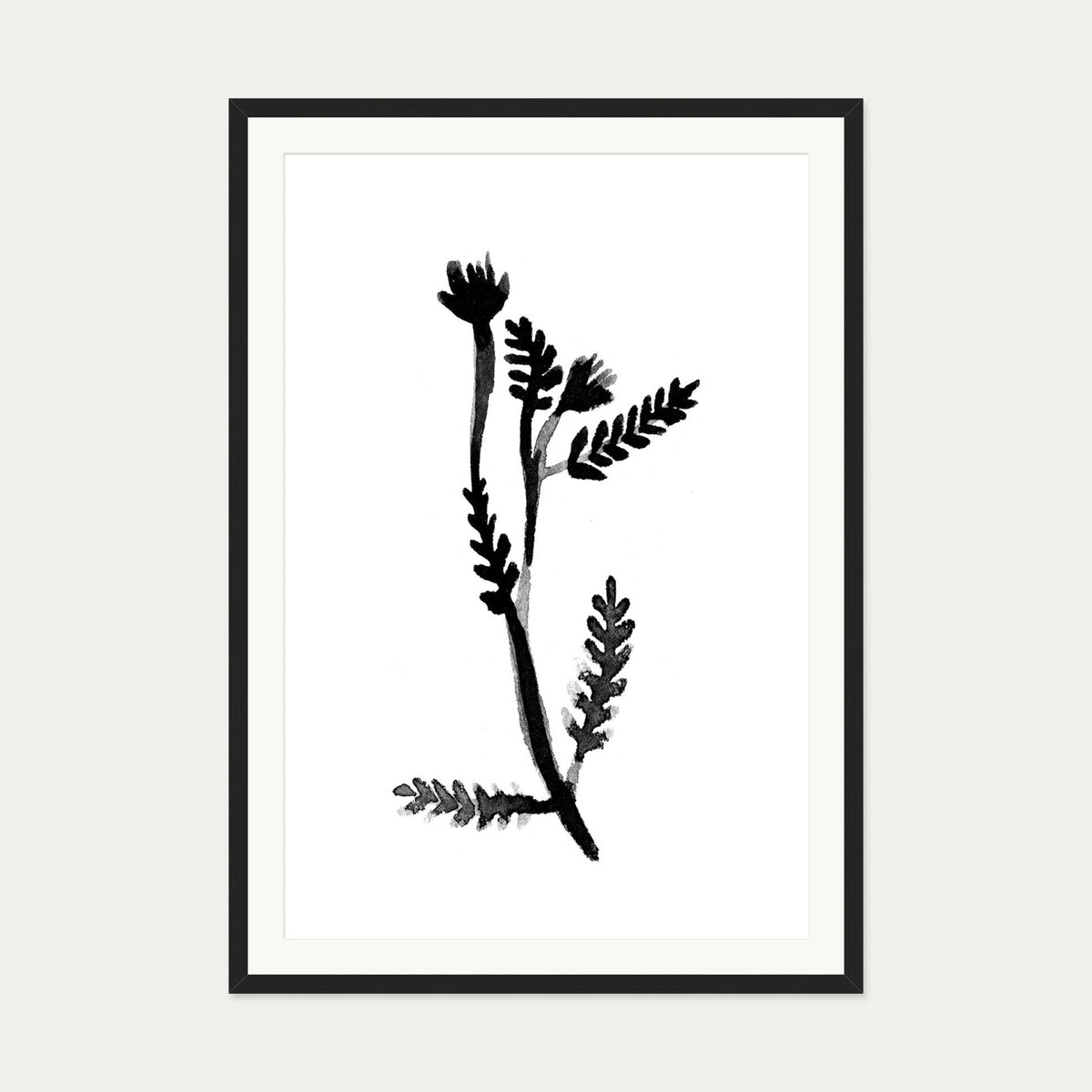 Black & White Botanical Watercolour Art Print — 70 x 100 cm — Black Frame