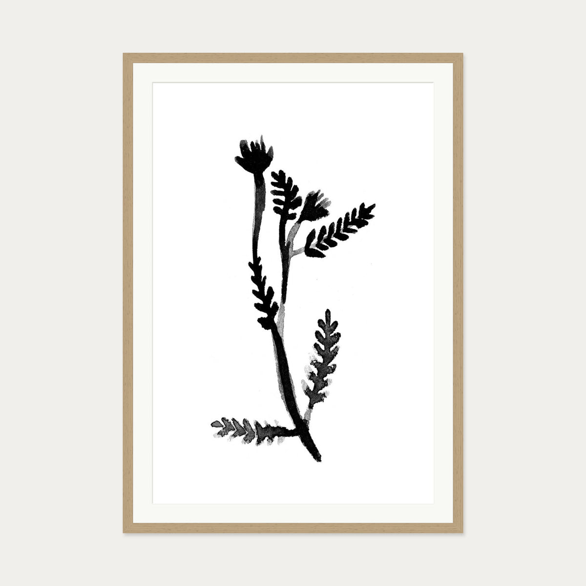 Black & White Botanical Watercolour Art Print — 70 x 100 cm — Oak Frame