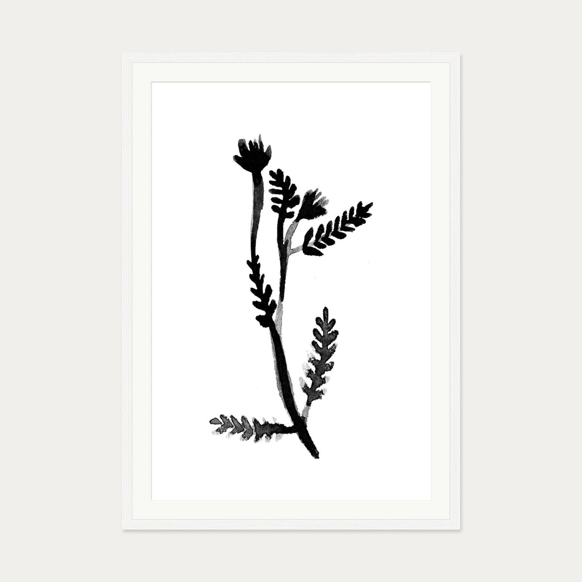 Black & White Botanical Watercolour Art Print — 70 x 100 cm — White Frame