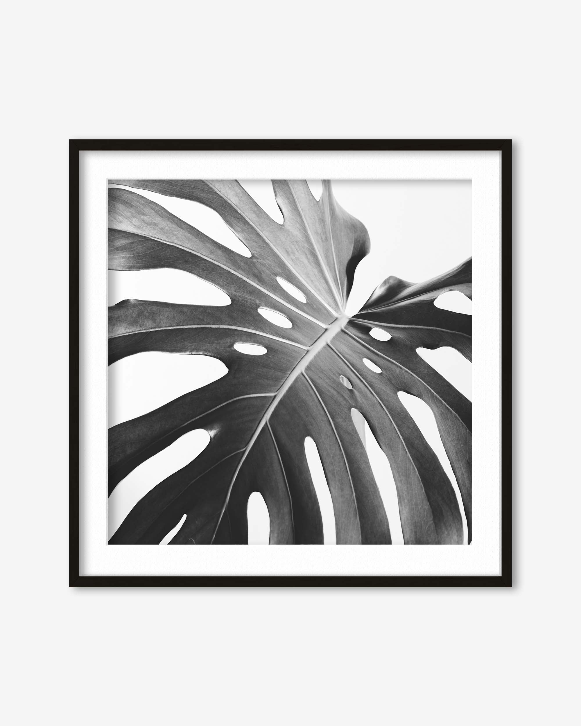 Black And White Monstera Wall Art Print
