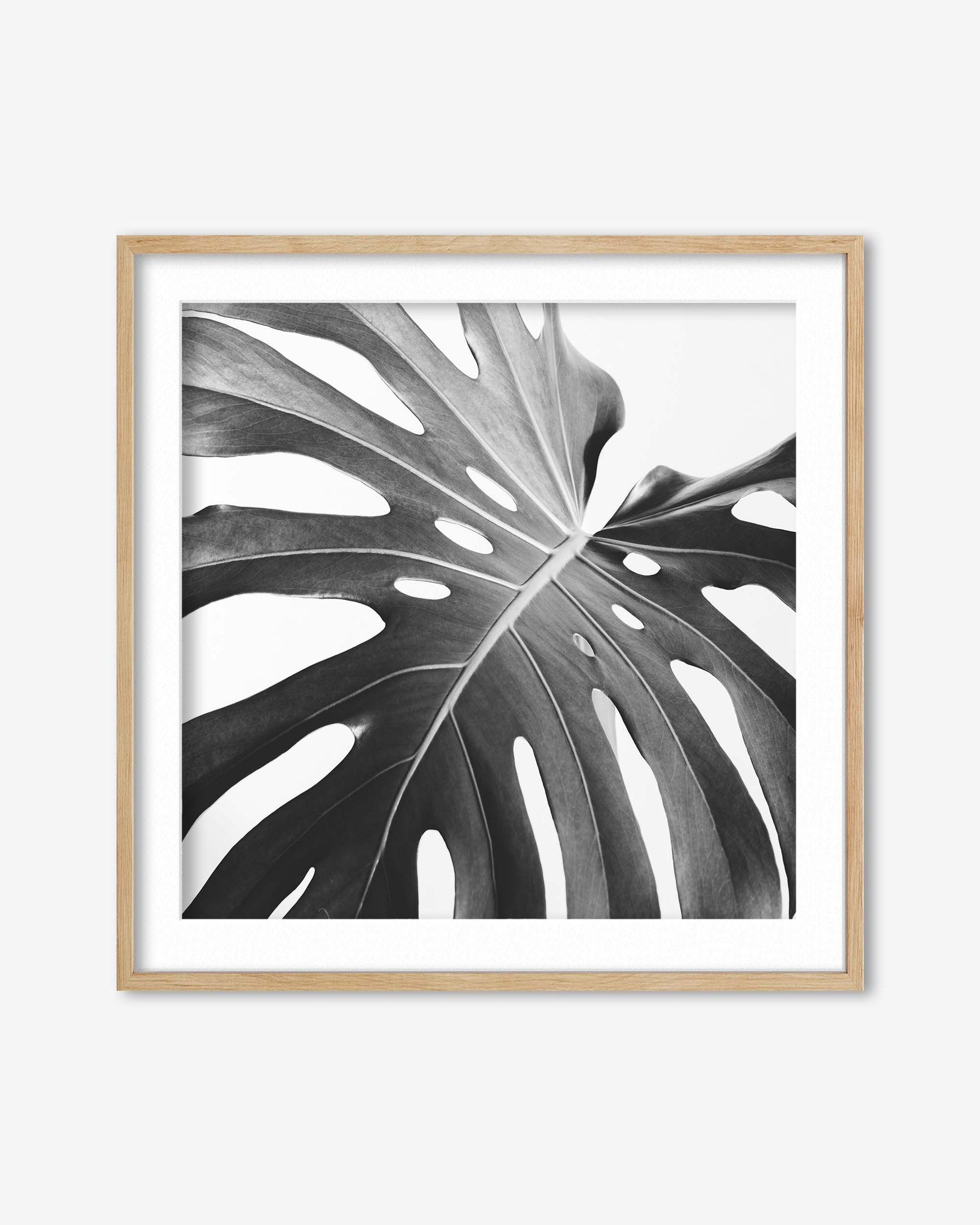 Framed artwork of a monstera leaf on a white background