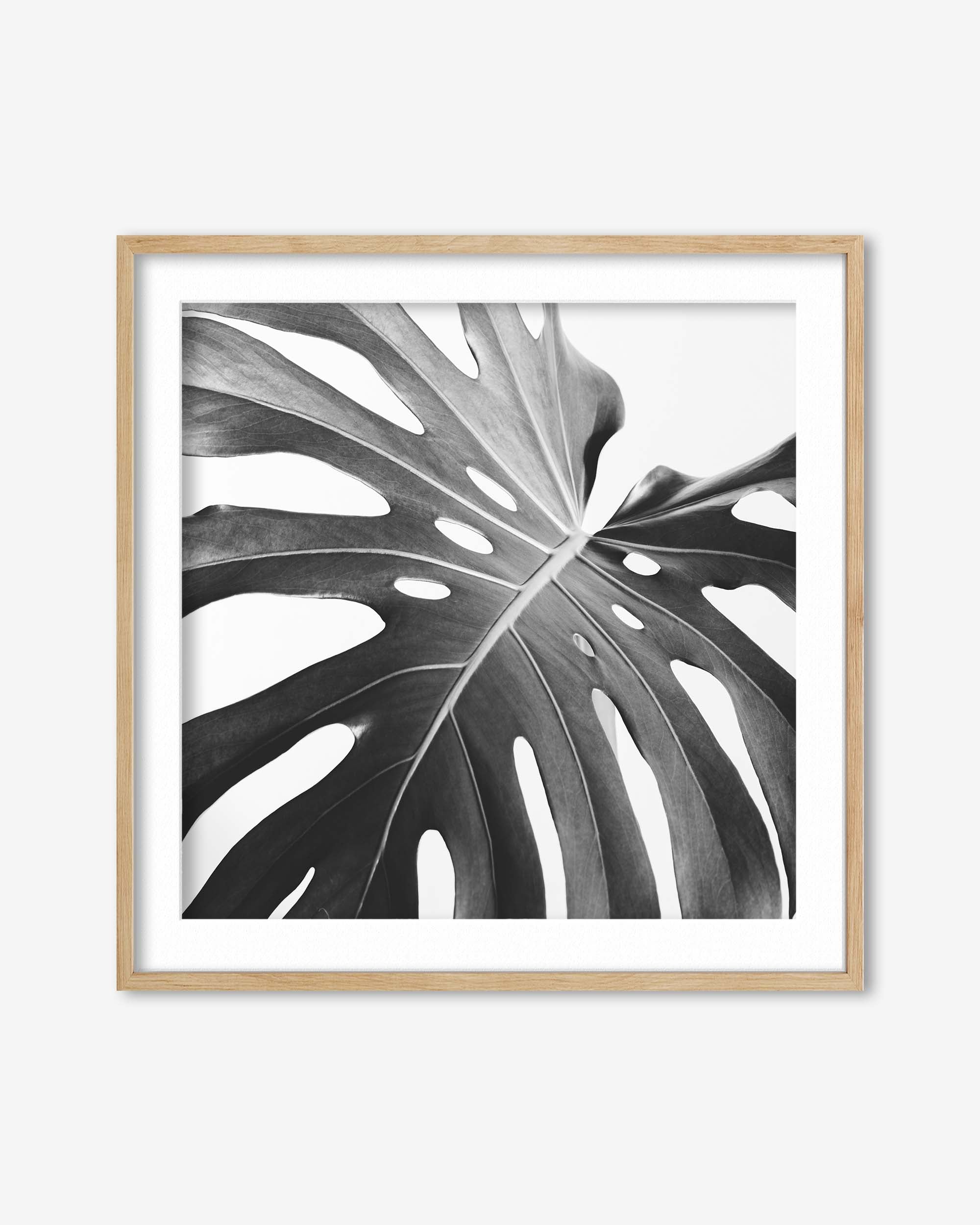 Black And White Monstera Wall Art Print
