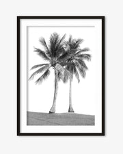 Monochrome Palms Wall Art Print