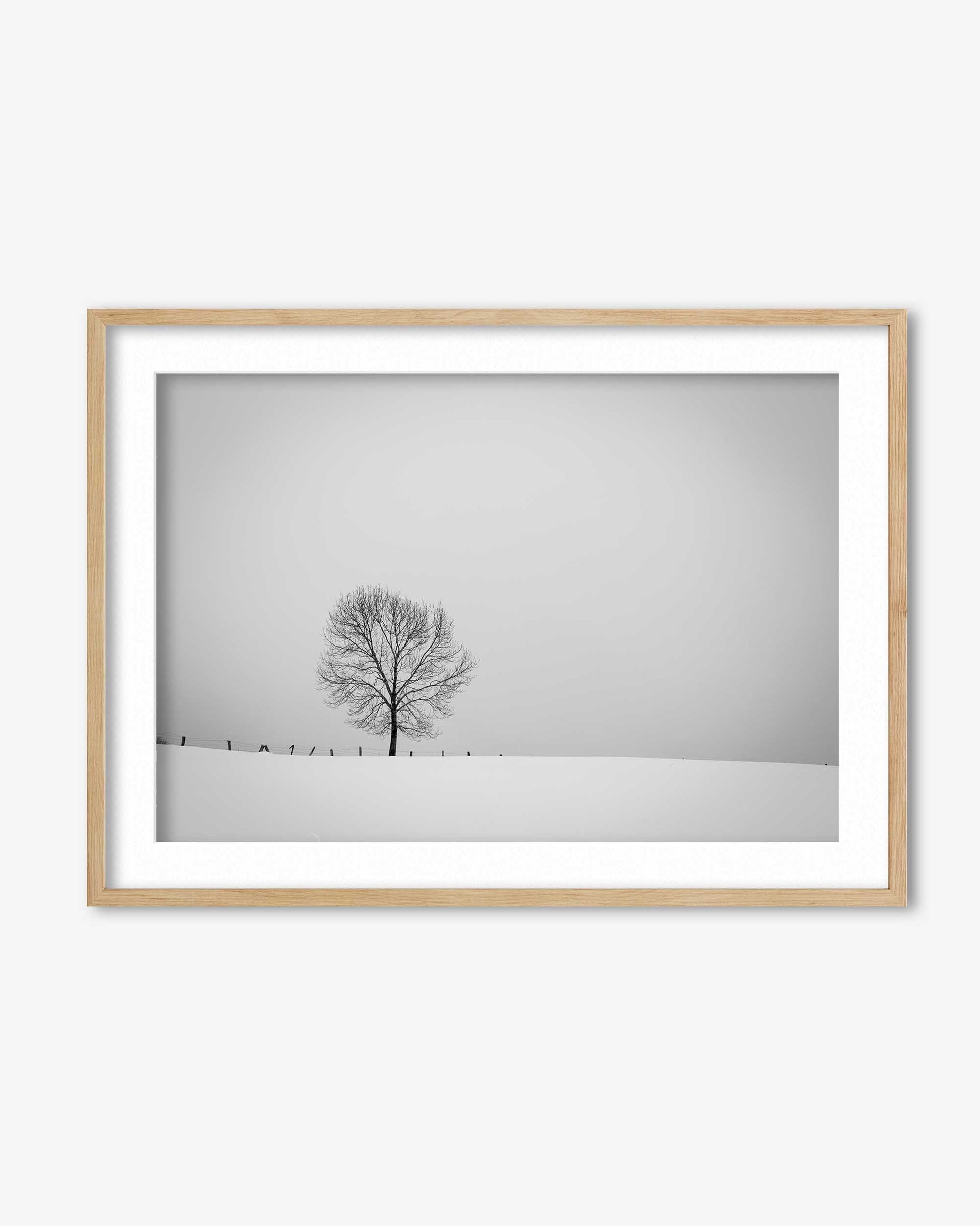 Framed minimalist landscape with a tree against a gray sky.